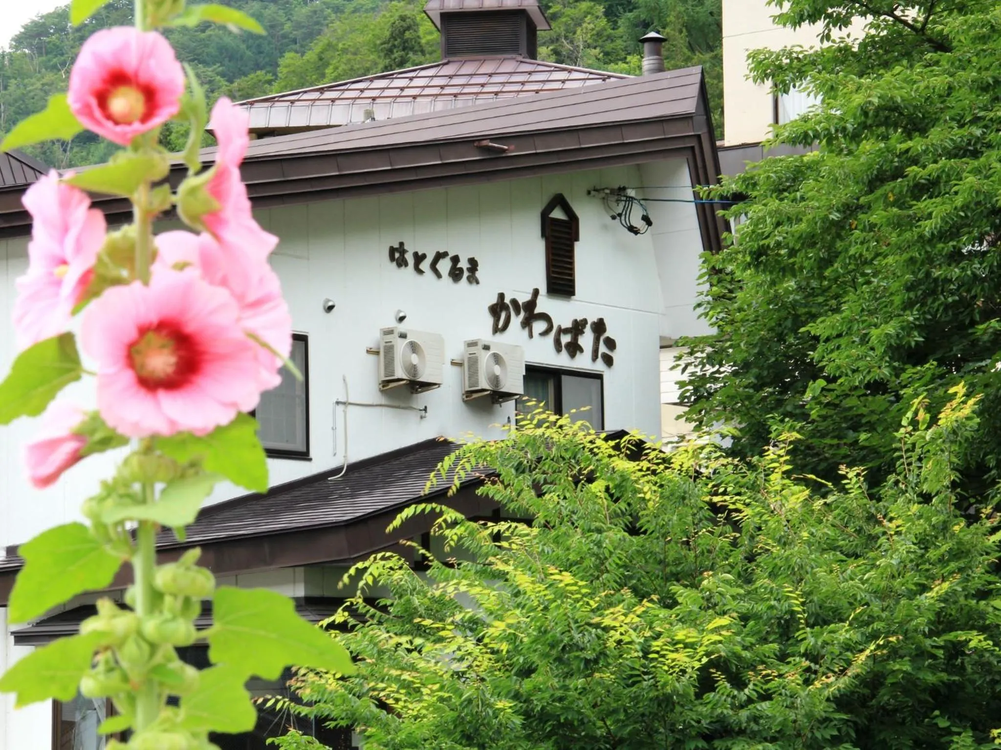Hatoguruma Kawabata