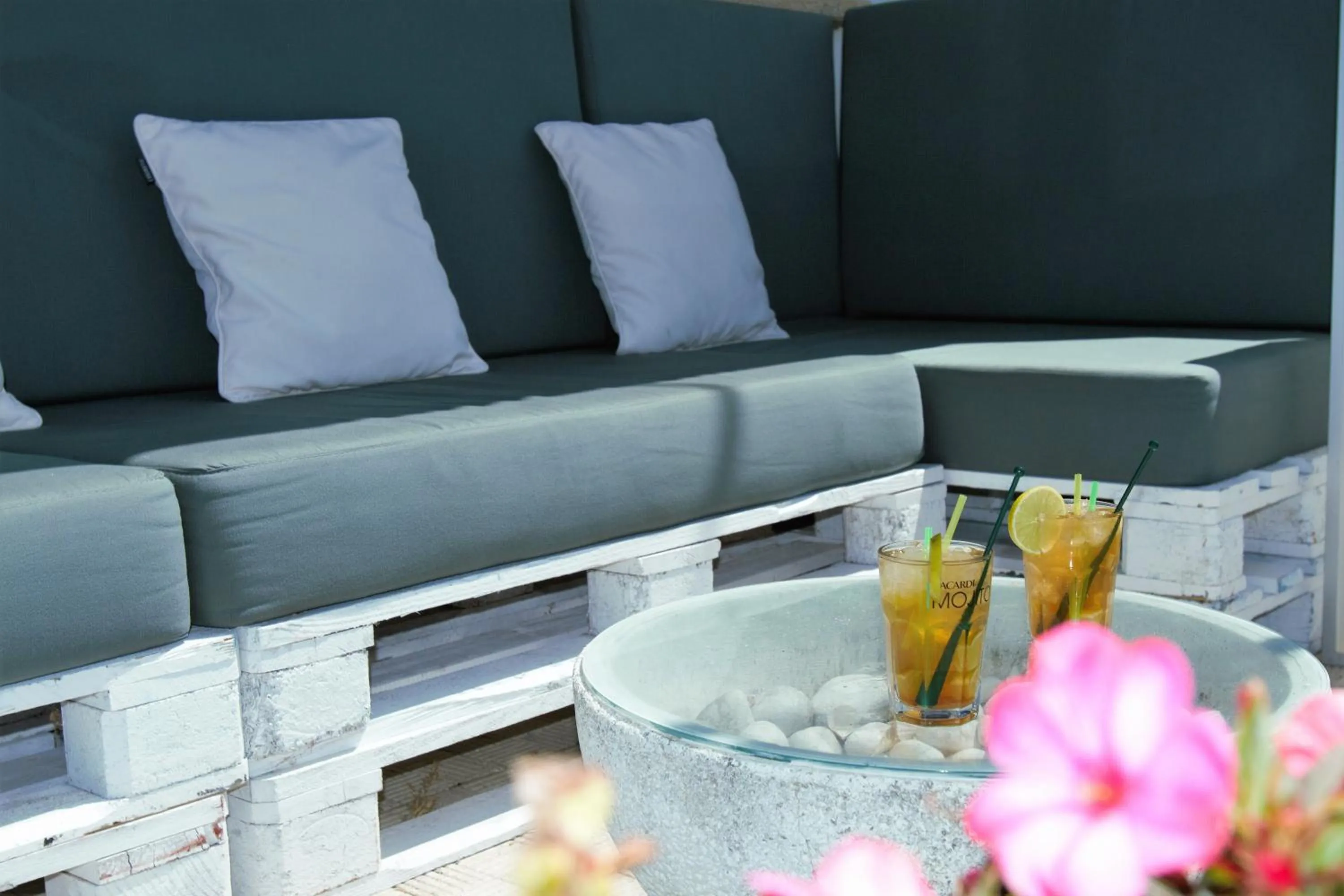 Area and facilities in Hotel Marola