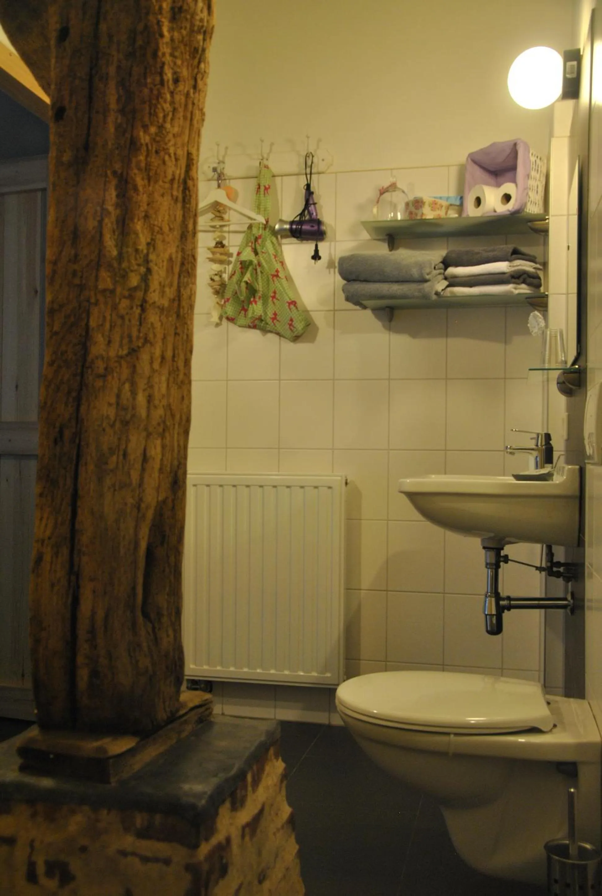 Toilet in Erfgoed & Logies Den Heijkant