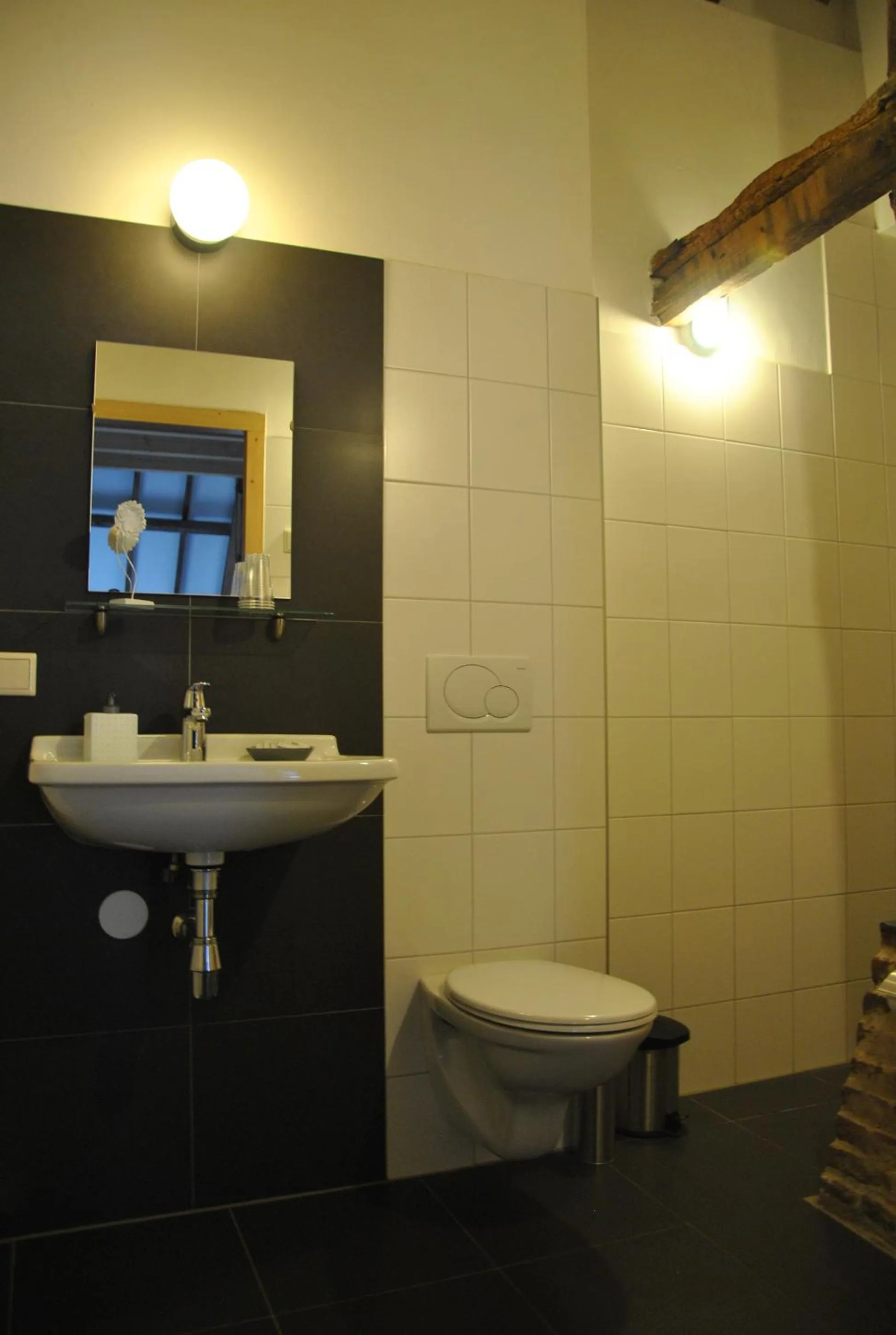 Toilet in Erfgoed & Logies Den Heijkant