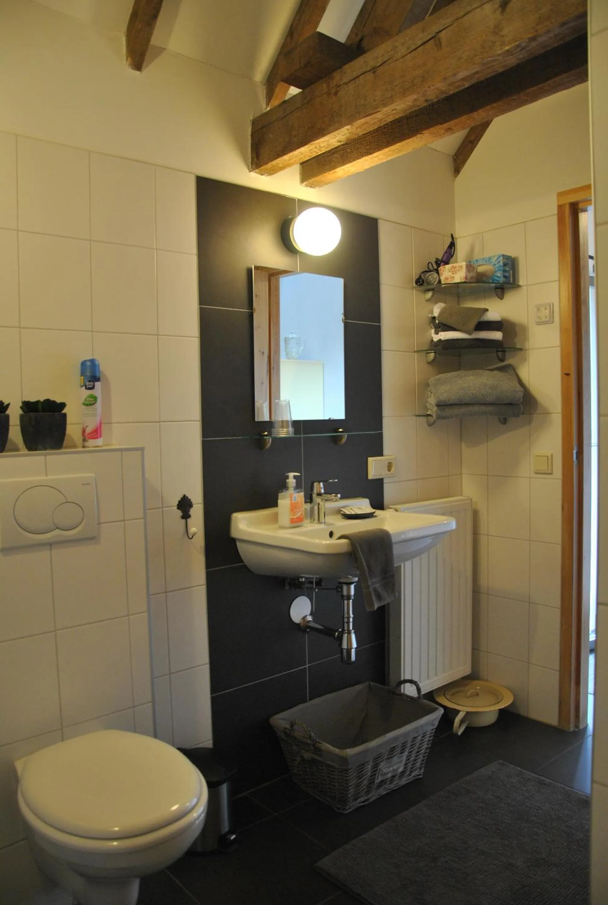 Toilet in Erfgoed & Logies Den Heijkant