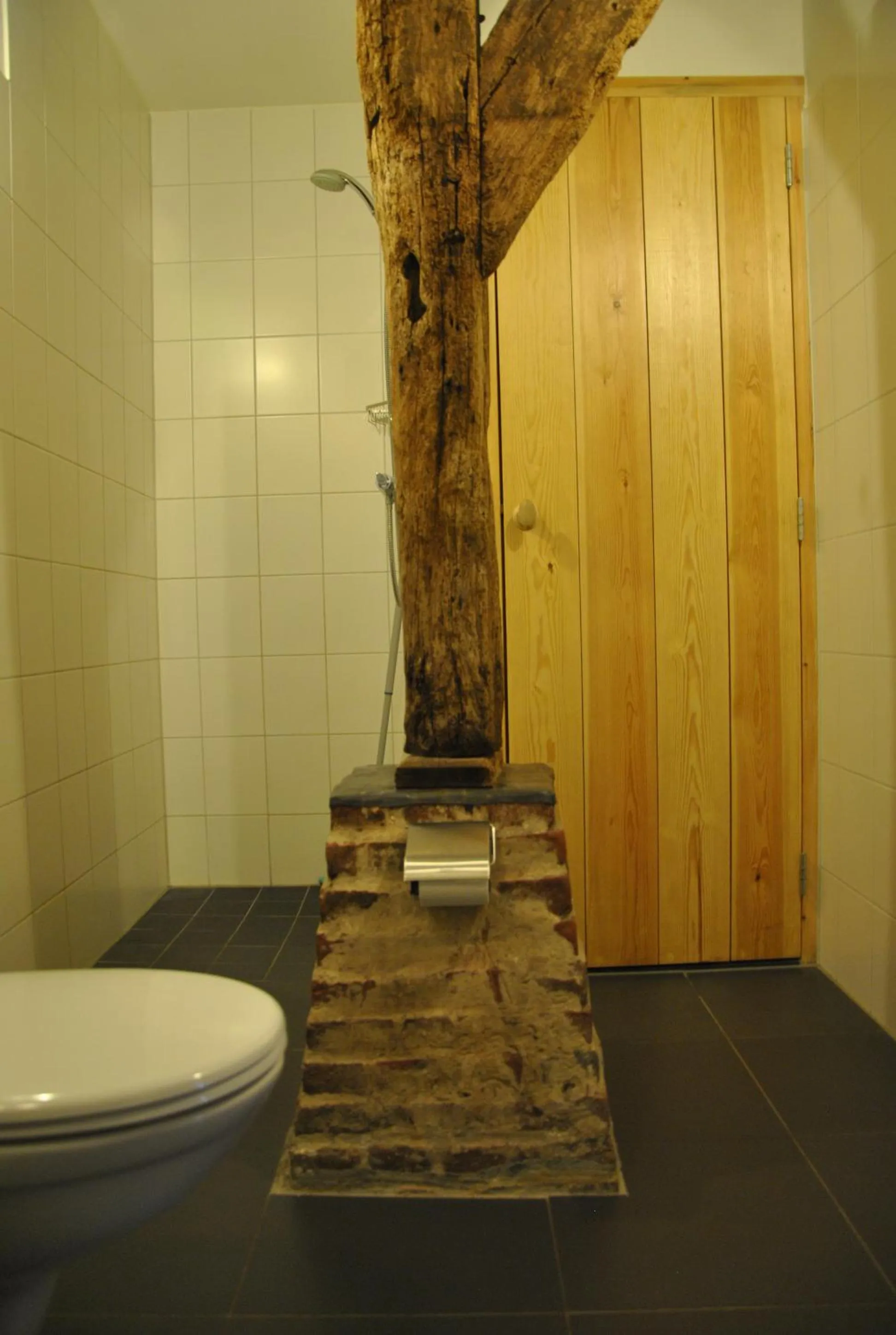 Shower in Erfgoed & Logies Den Heijkant