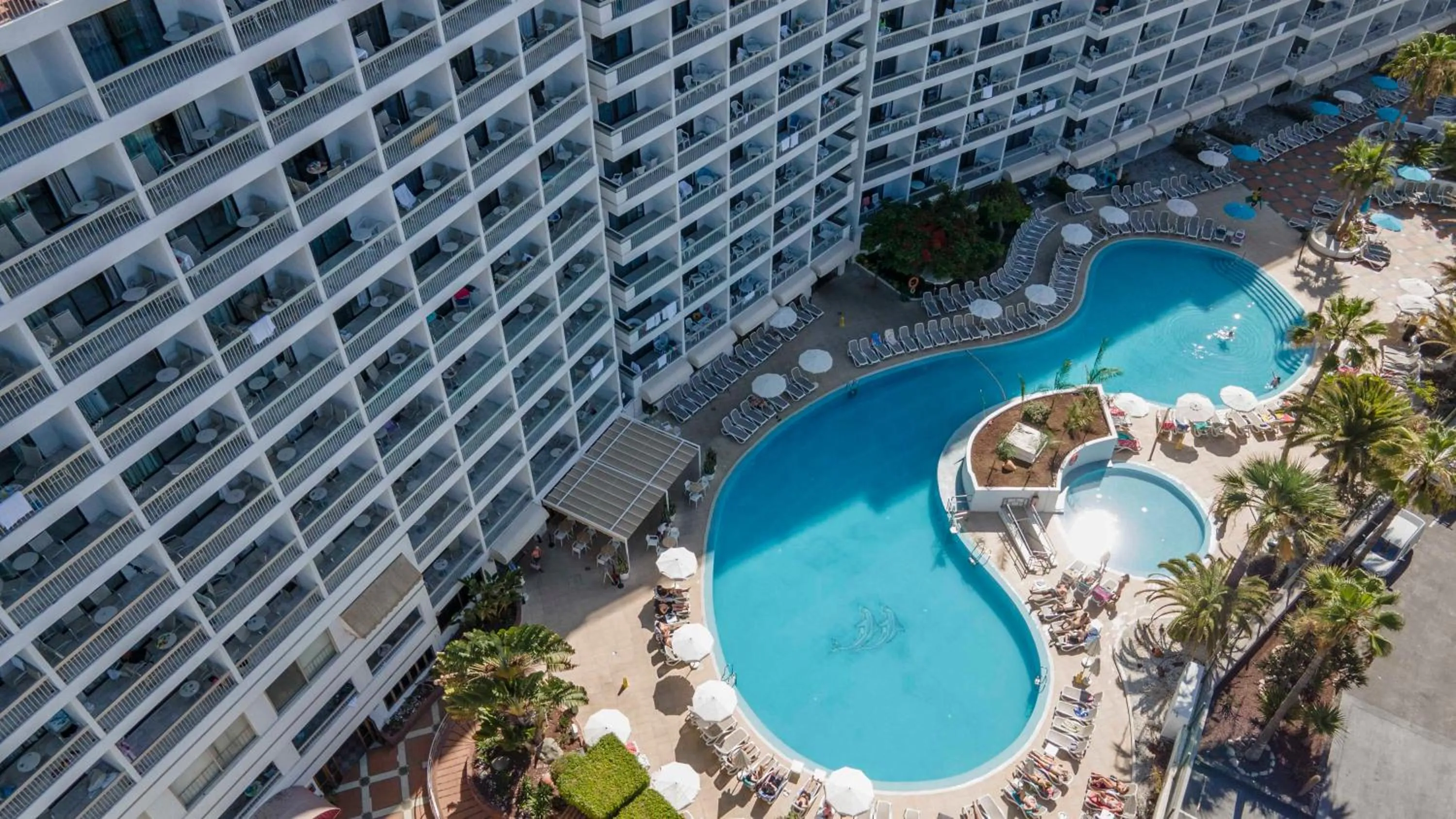 Swimming pool in Ona Palm Beach