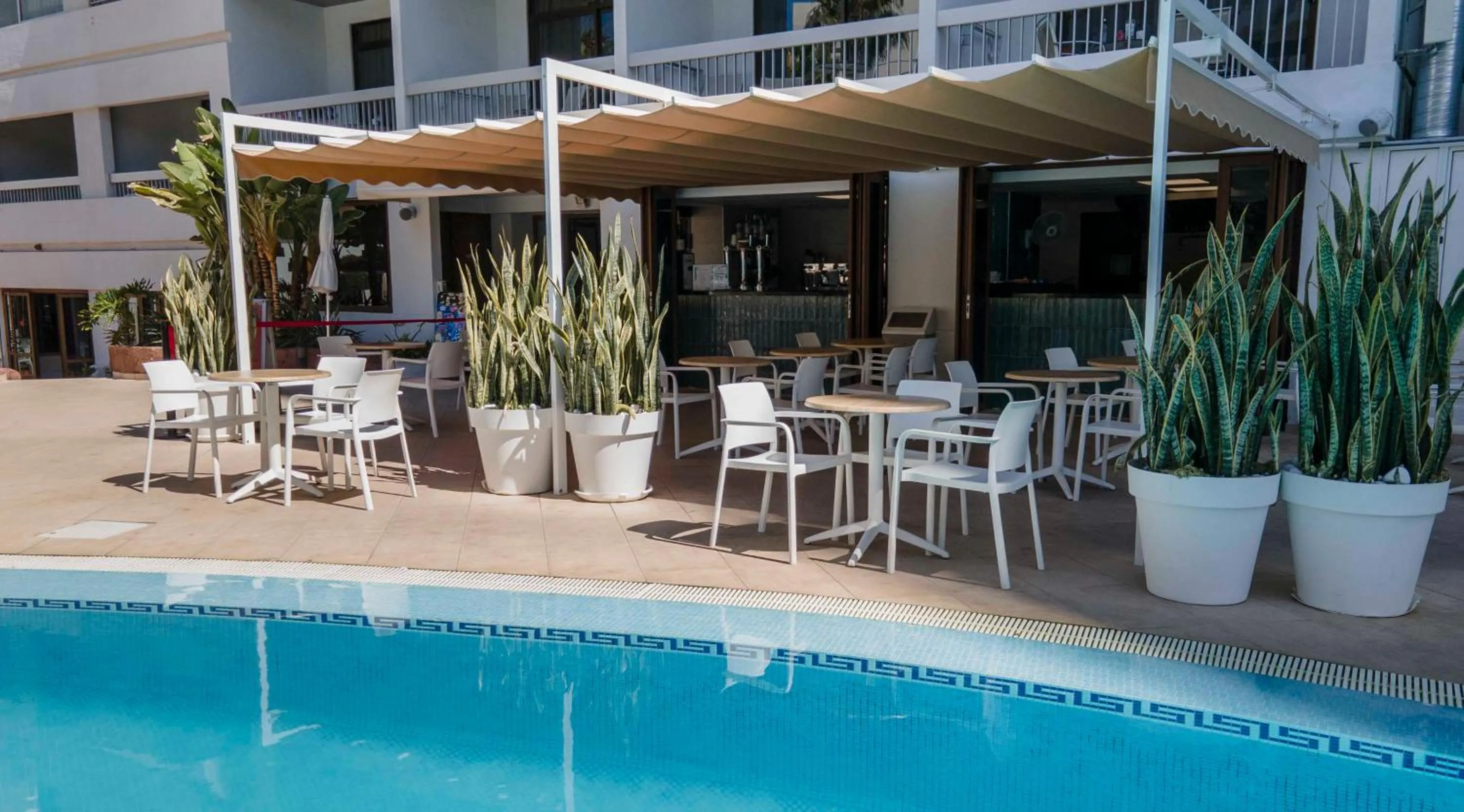 Swimming pool in Ona Palm Beach