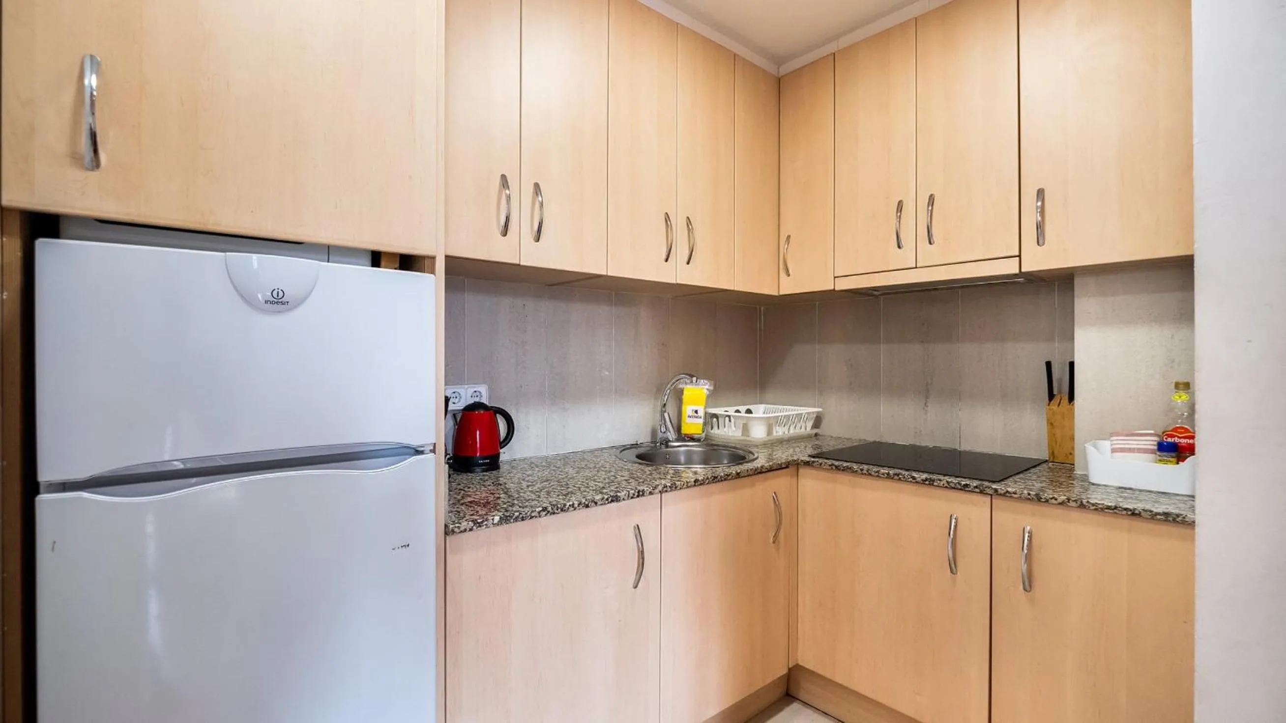 Apartamentos El Pintor