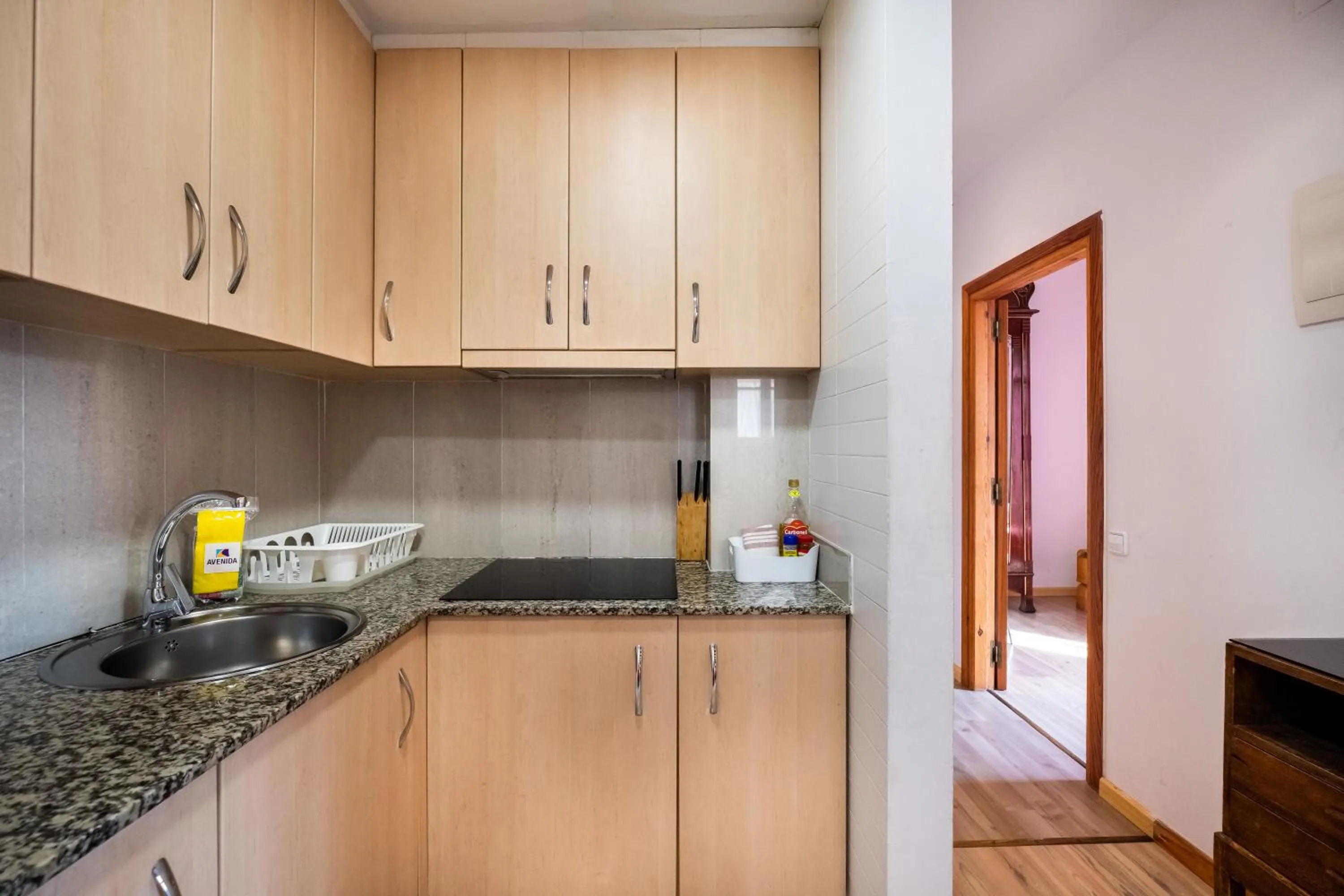 Apartamentos El Pintor