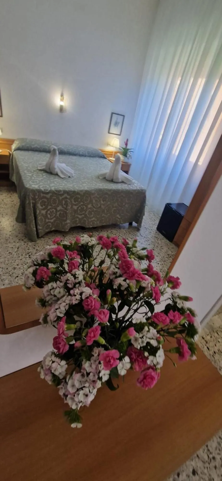 Photo of the whole room in Hotel Dora