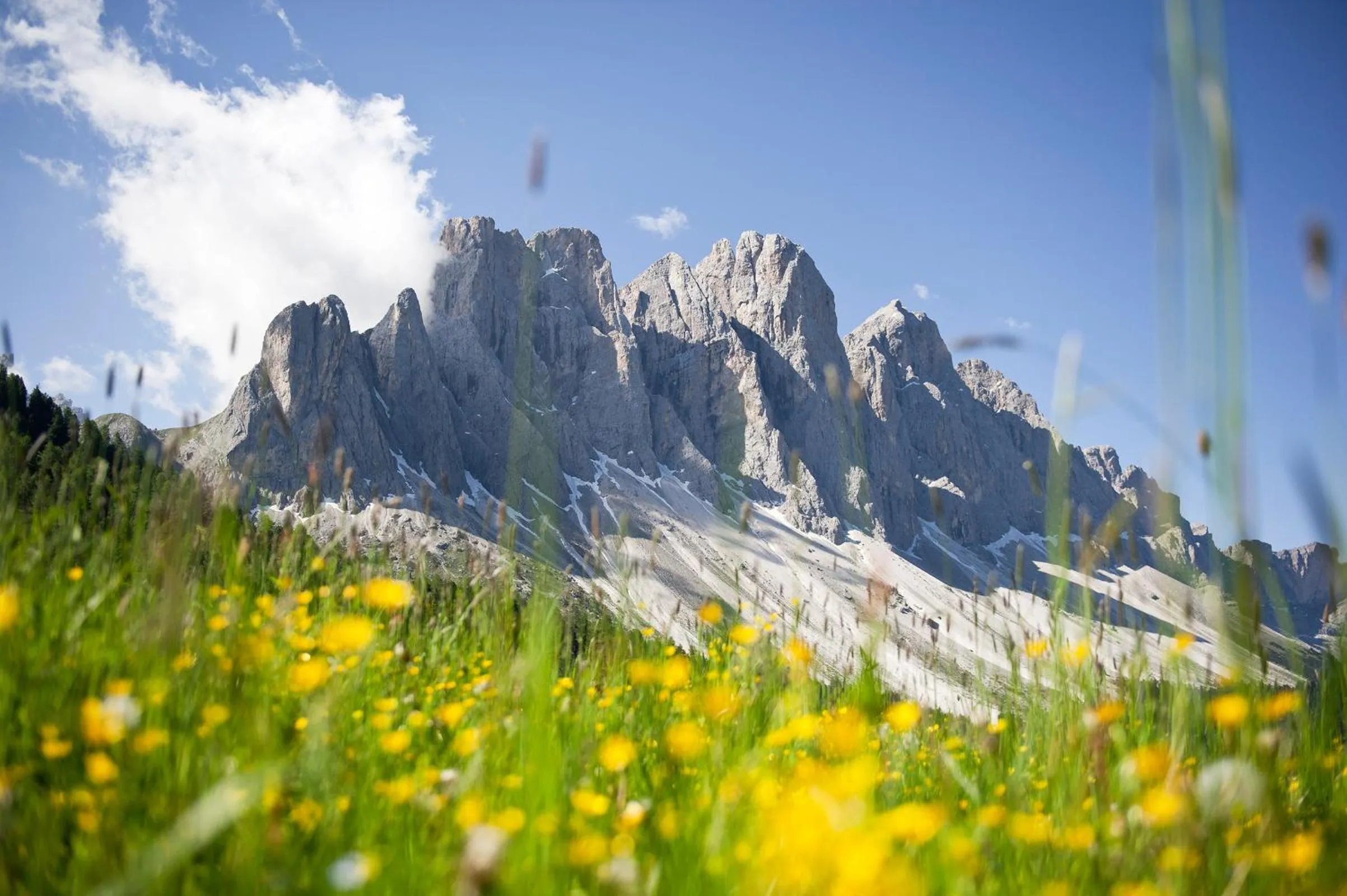 Area and facilities in Residence Töglhof