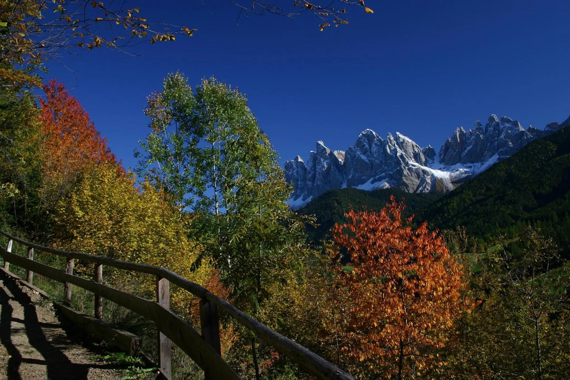 Area and facilities in Residence Töglhof