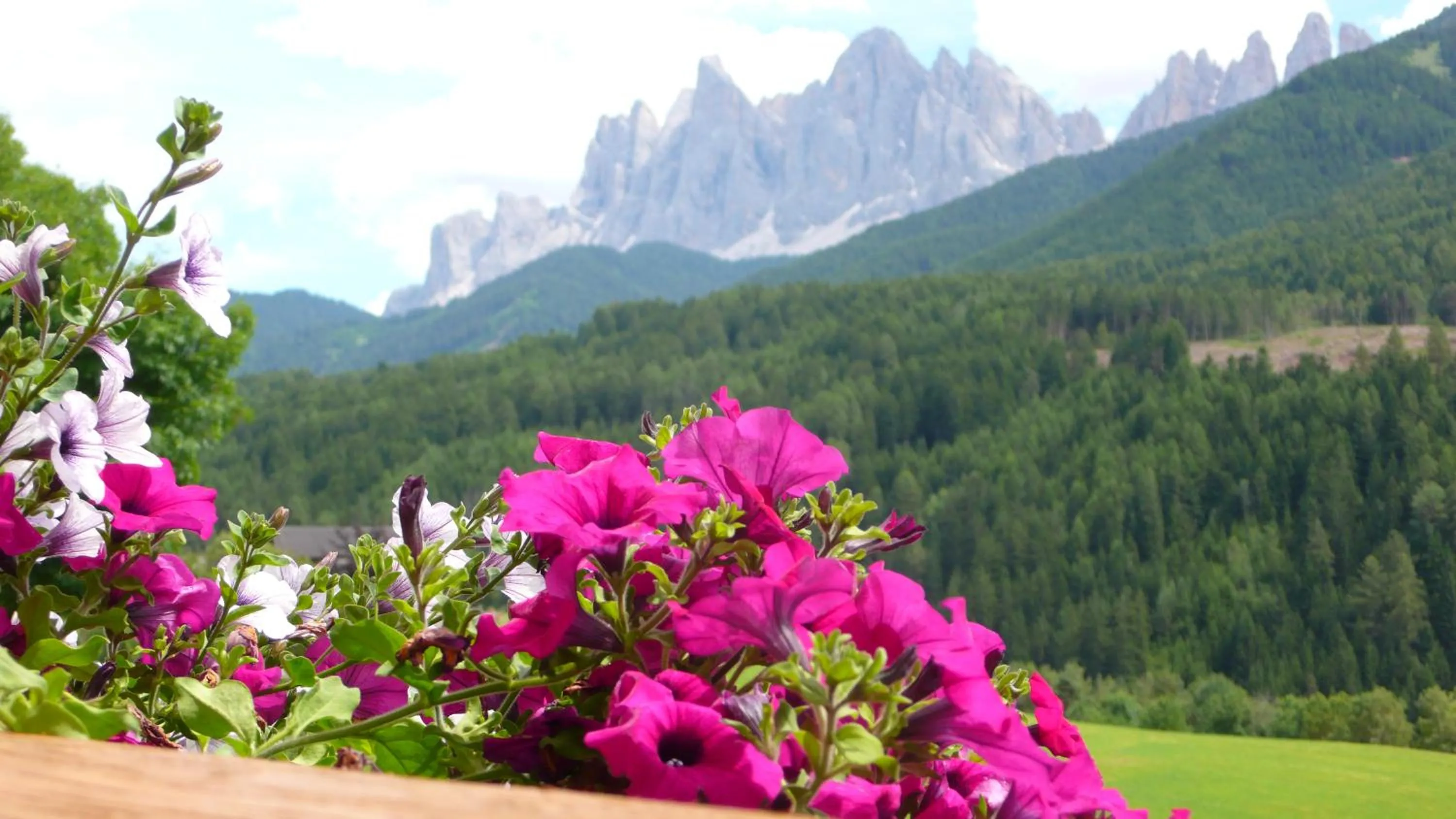 View (from property/room) in Residence Töglhof