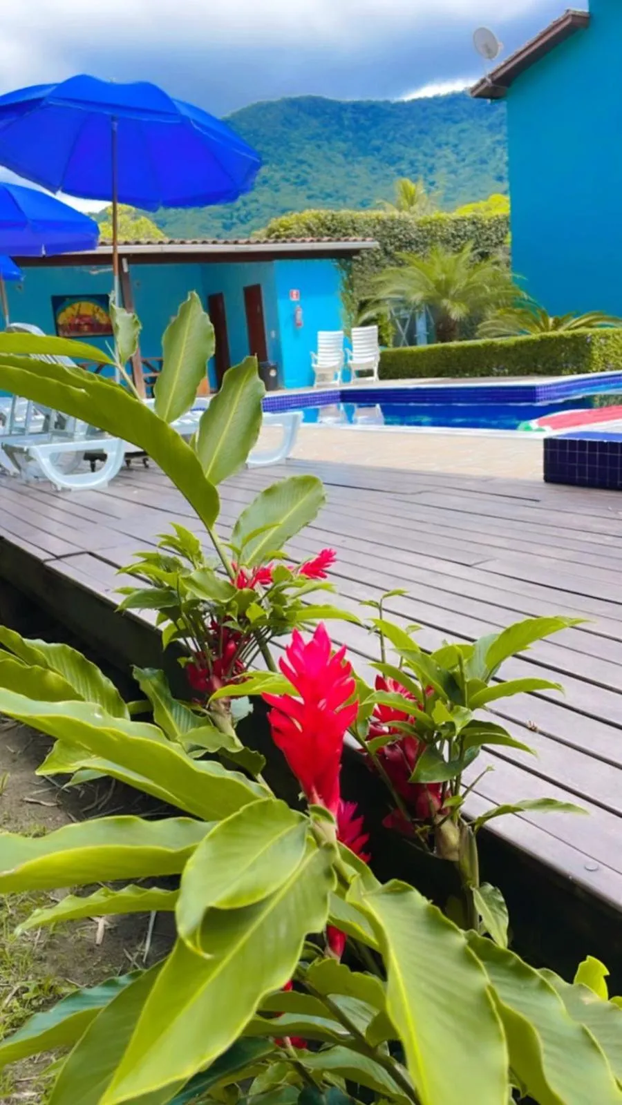 Garden view in Mar e Lua Flats - Maresias