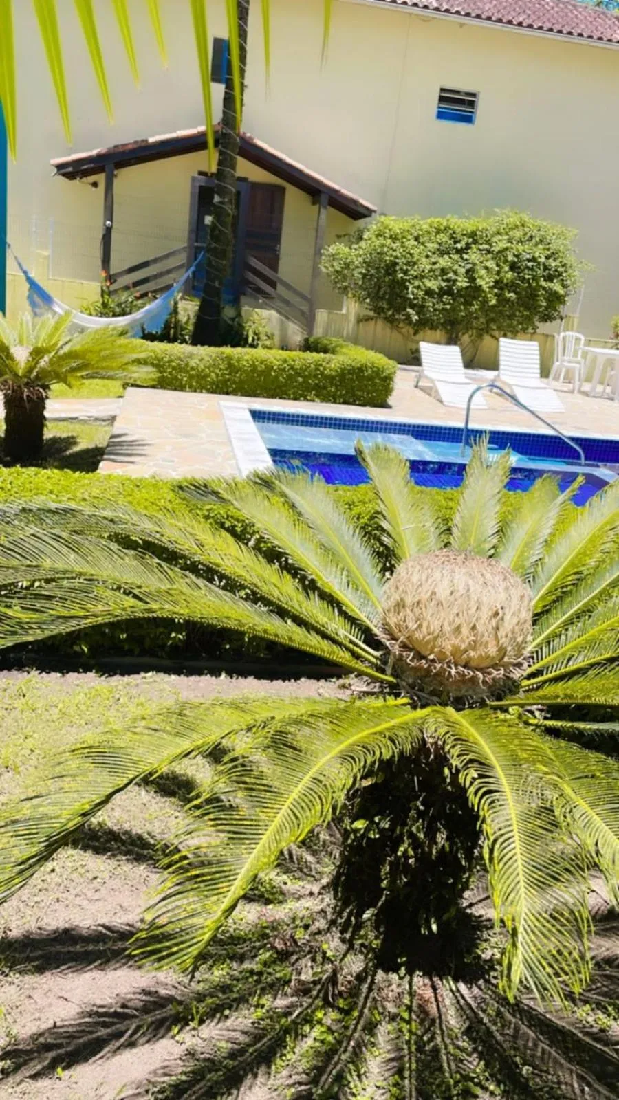 Garden in Mar e Lua Flats - Maresias
