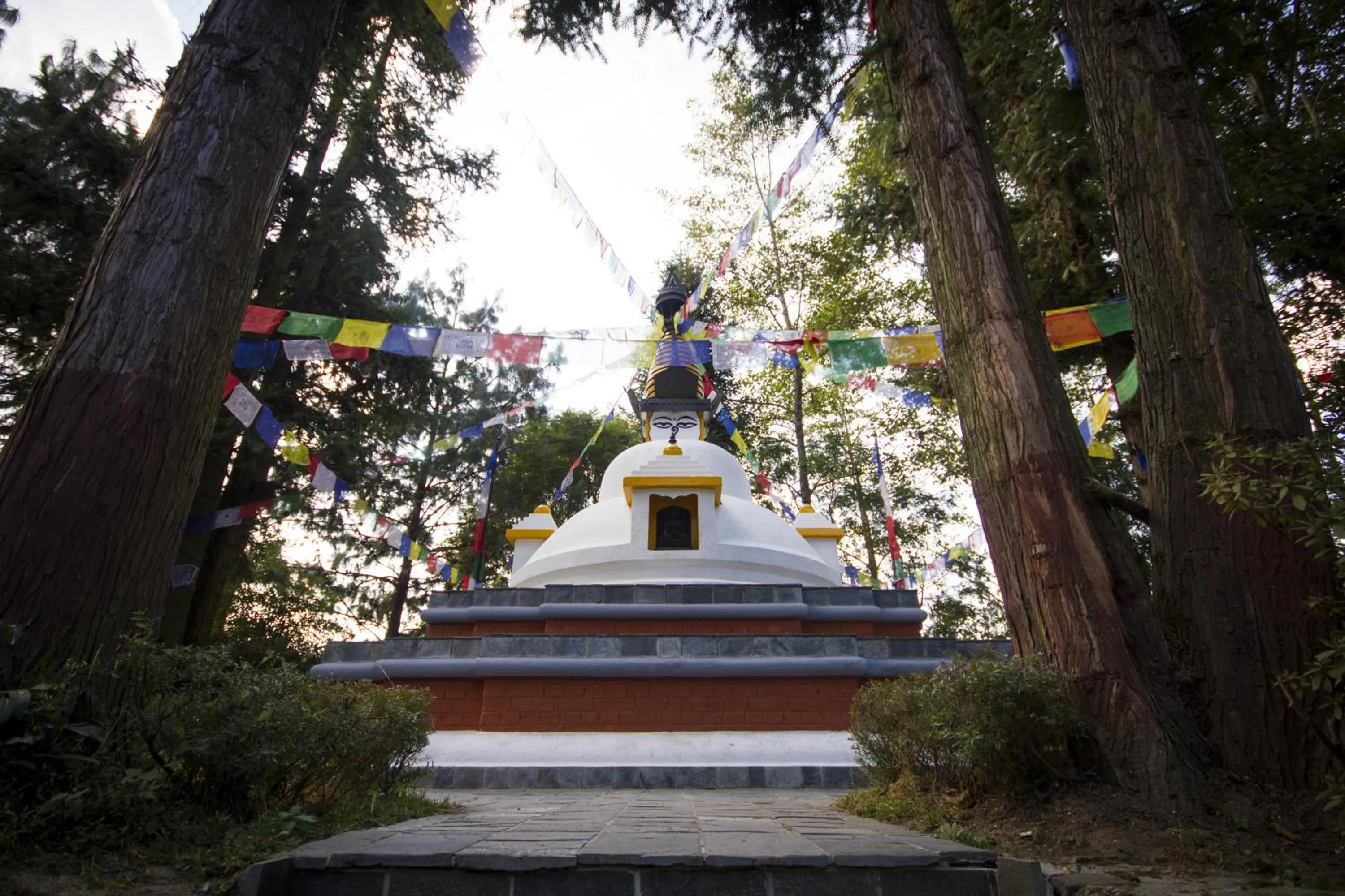 Natural landscape in Club Himalaya, by ACE Hotels