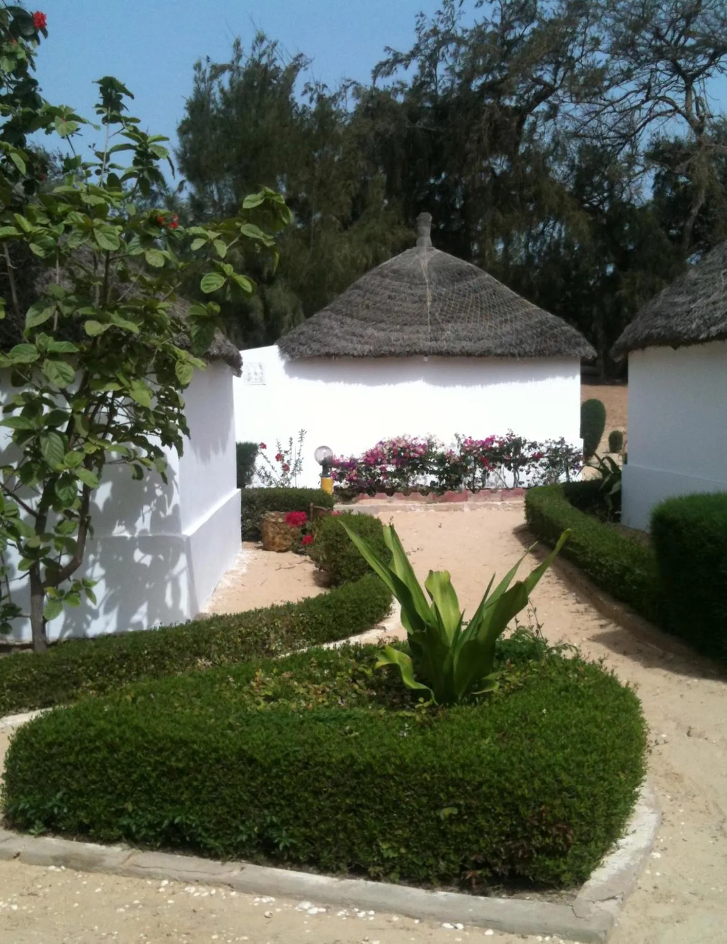 Case with Fan - single occupancy in Eco-Lodge Hotel Oasis Fishing