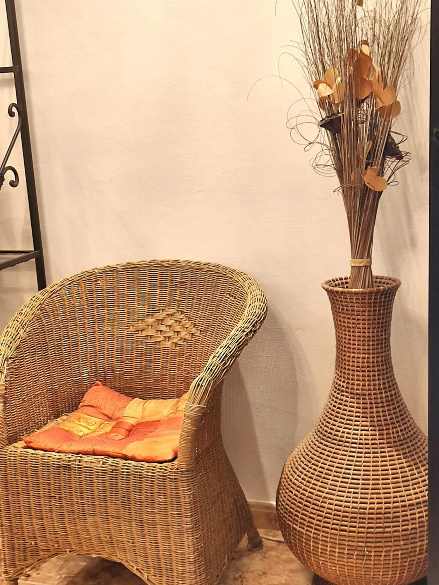 Area and facilities in Hostal Orleans