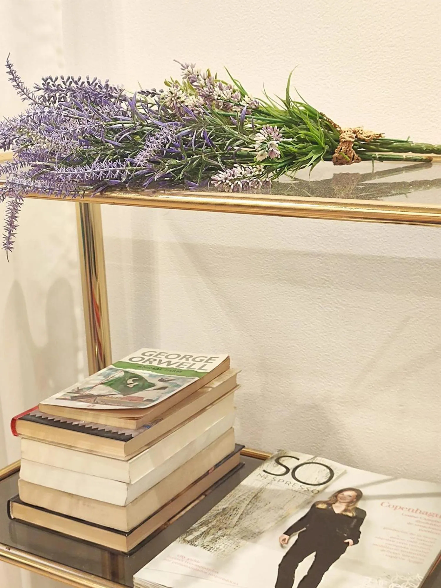 Area and facilities in Hostal Orleans