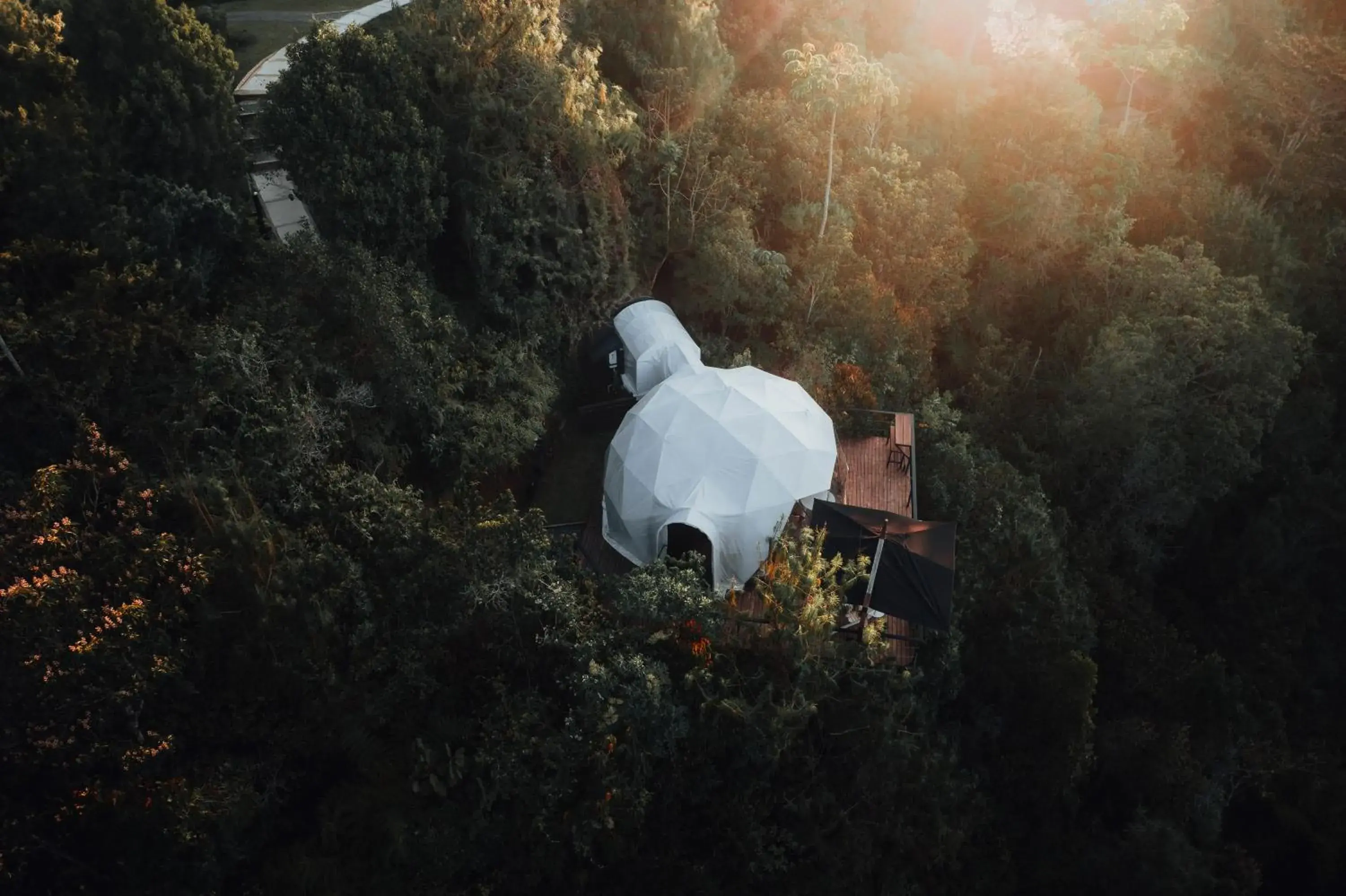 Photo of the whole room in Bosko Photo of the whole room in Bosko