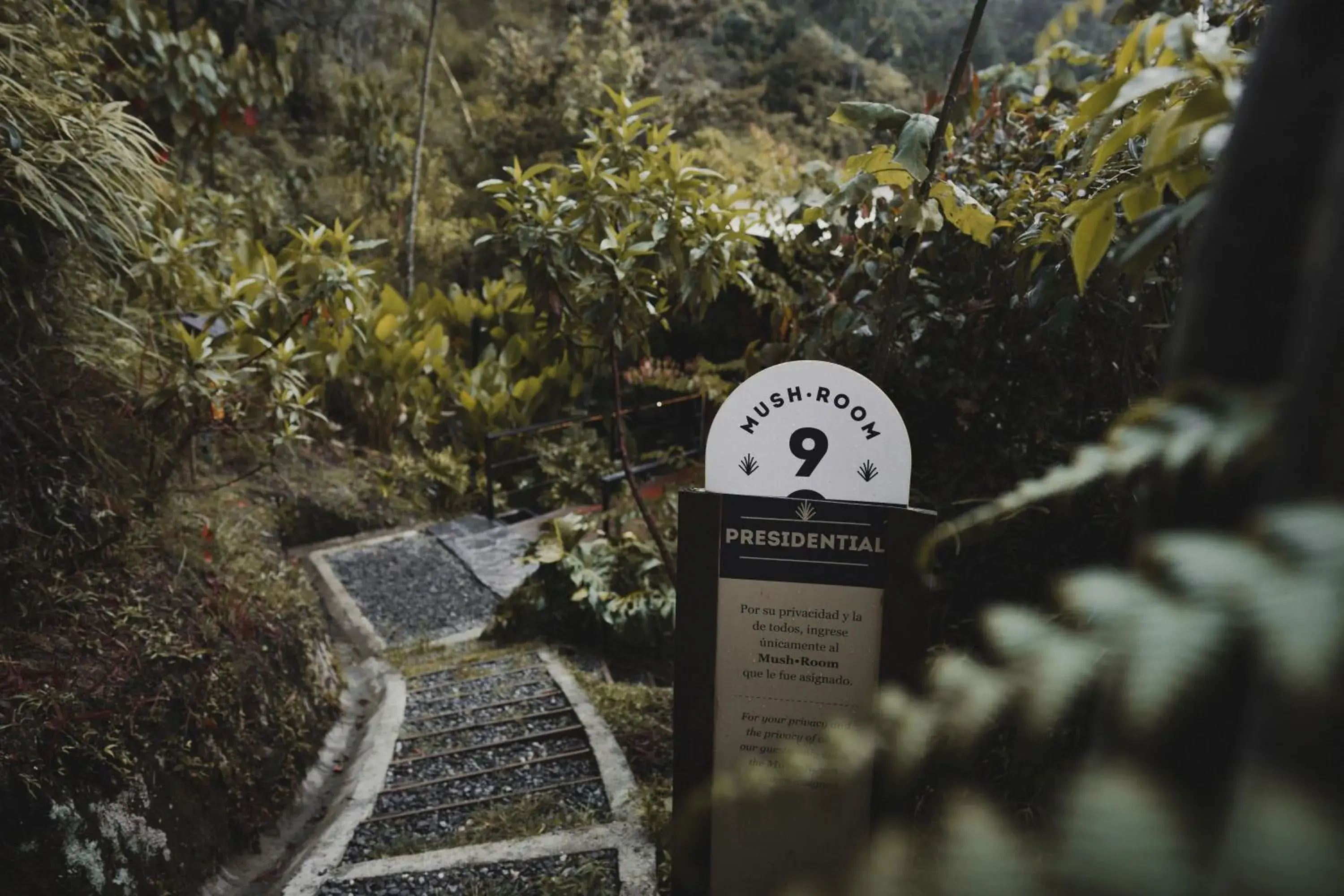 Facade/entrance in Bosko Facade/entrance in Bosko