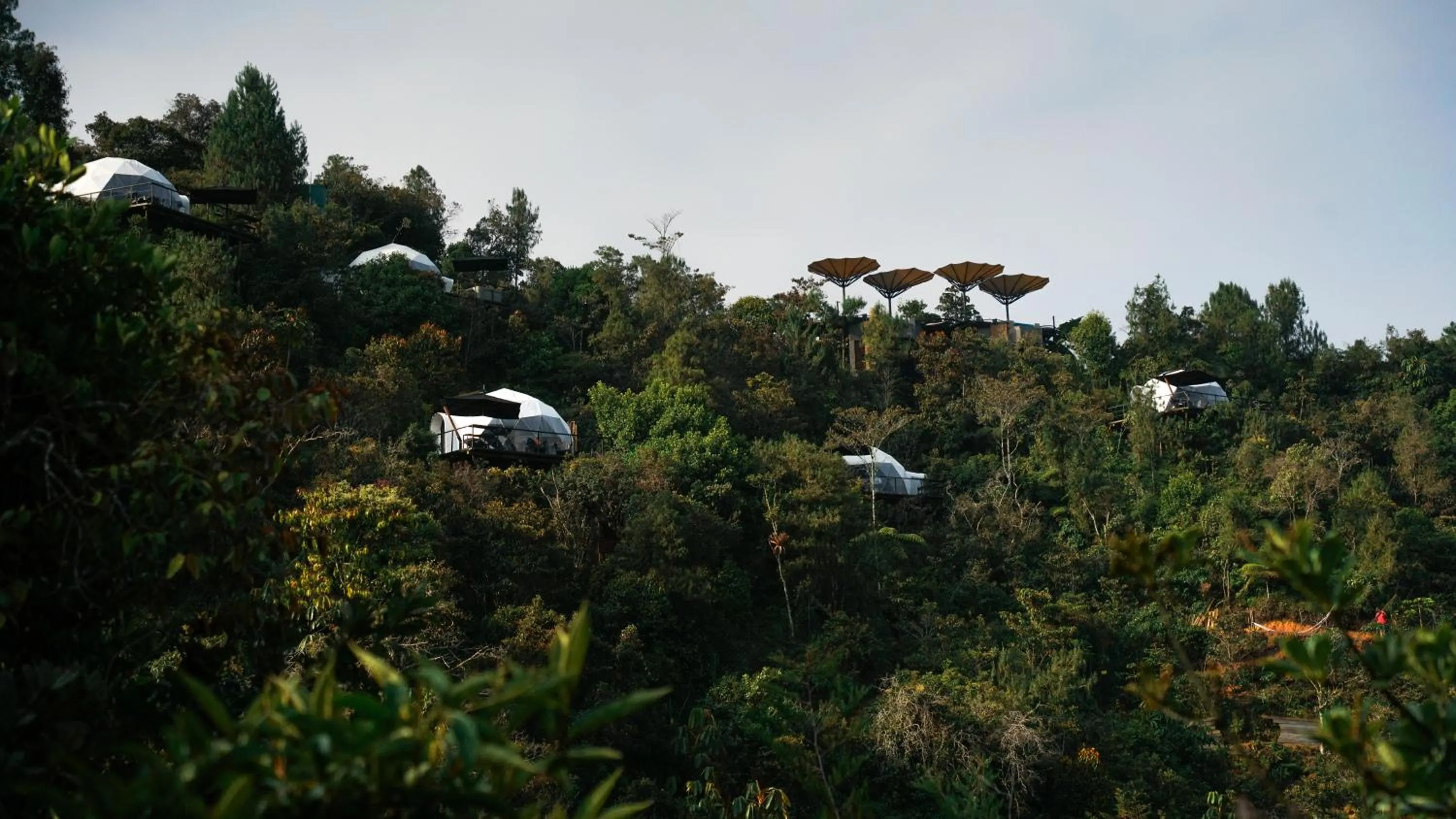 Natural landscape in Bosko