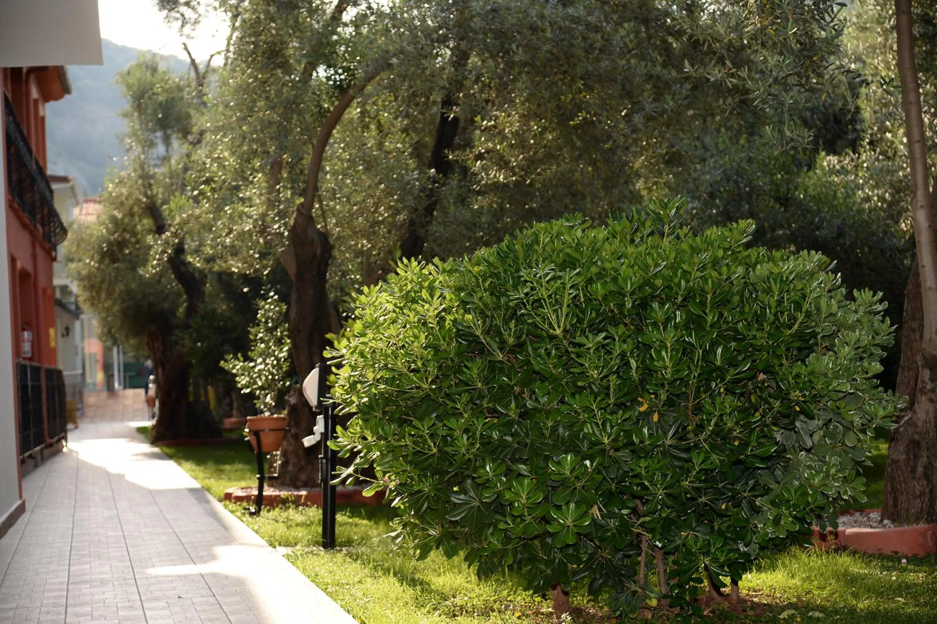 Garden in Karbel Hotel