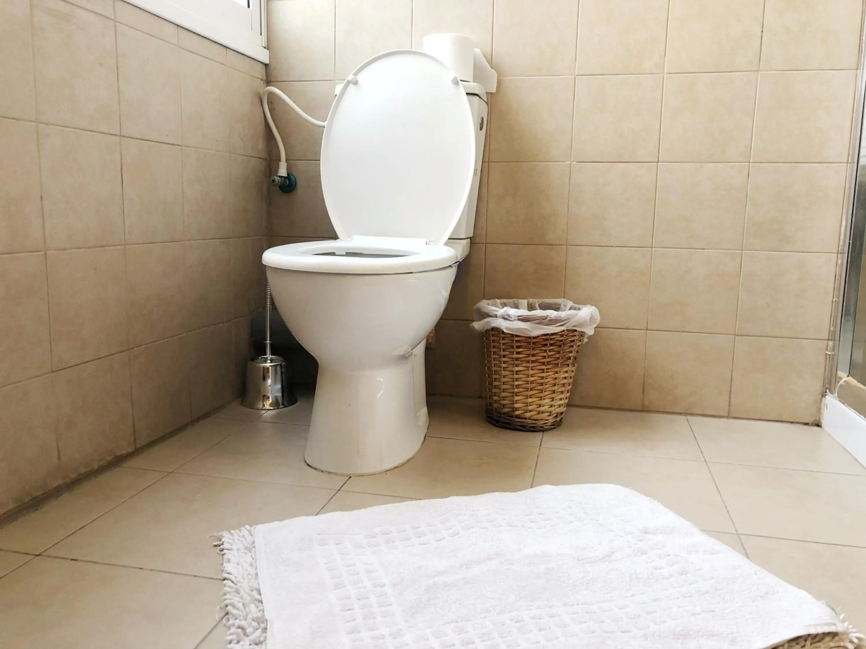 Toilet in Stylish Tel Aviv