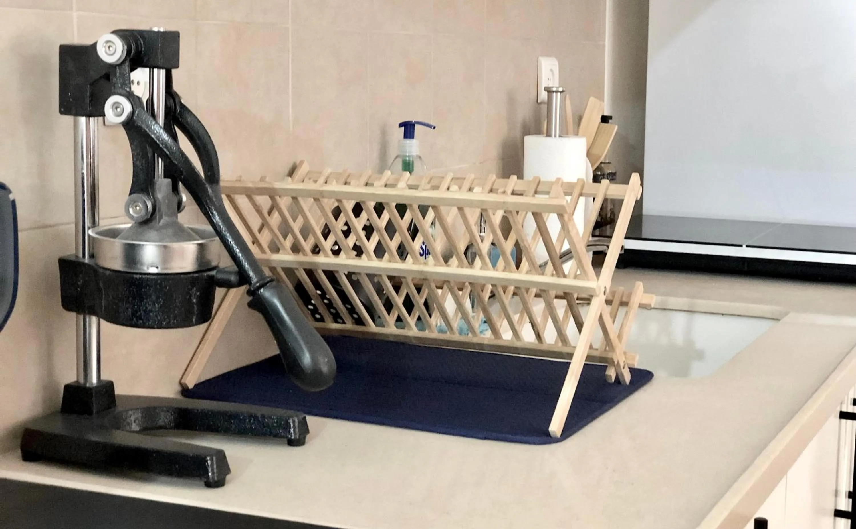 kitchen in Stylish Tel Aviv