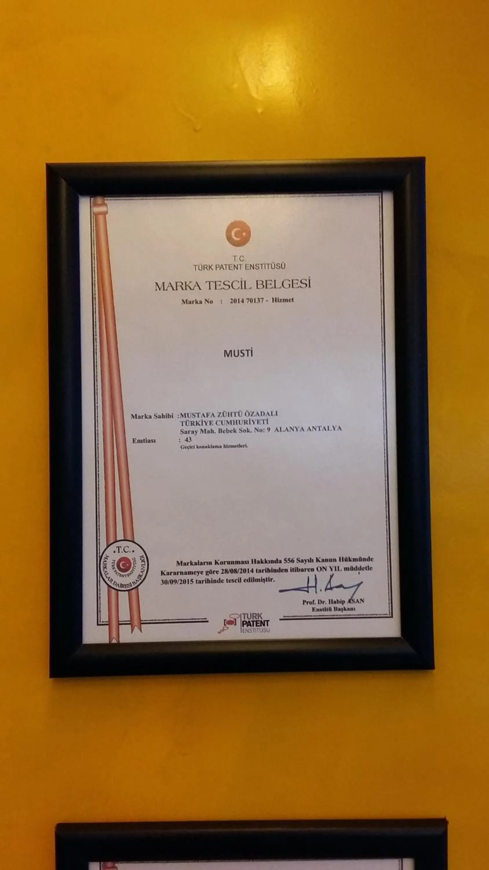 Decorative detail in Musti Apart Hotel