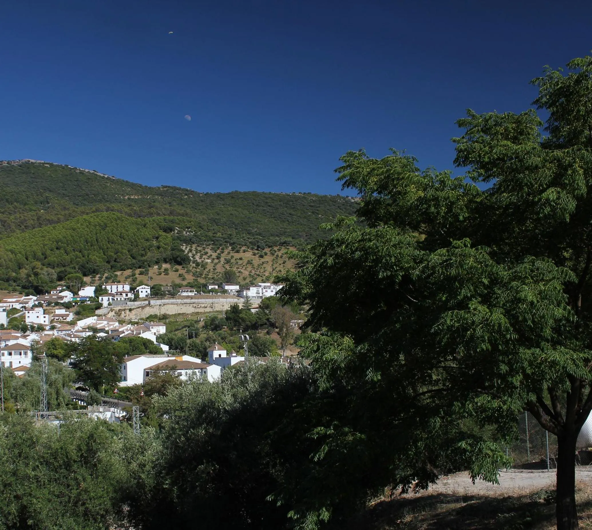 Area and facilities in Apartamentos Casa Gil