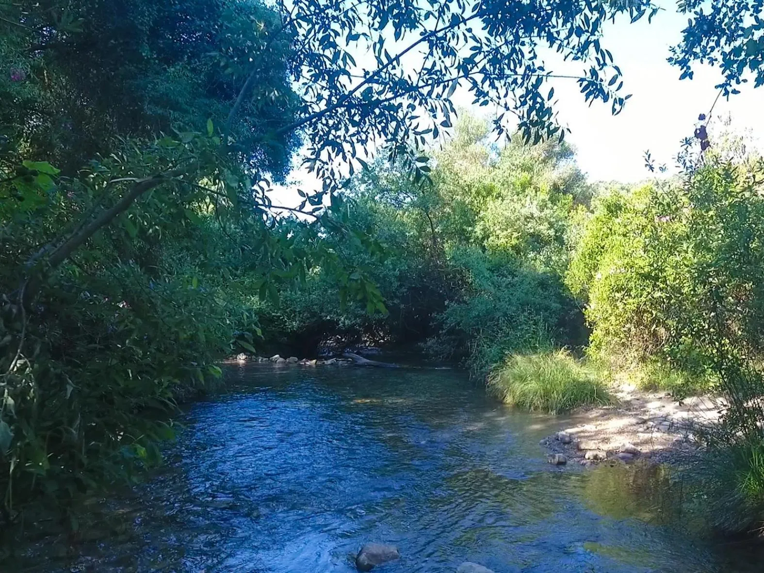 Natural landscape in Apartamentos Casa Gil