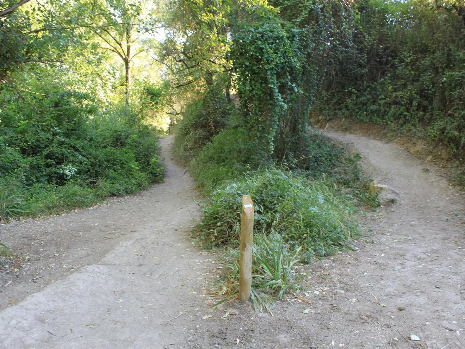 Natural landscape in Apartamentos Casa Gil