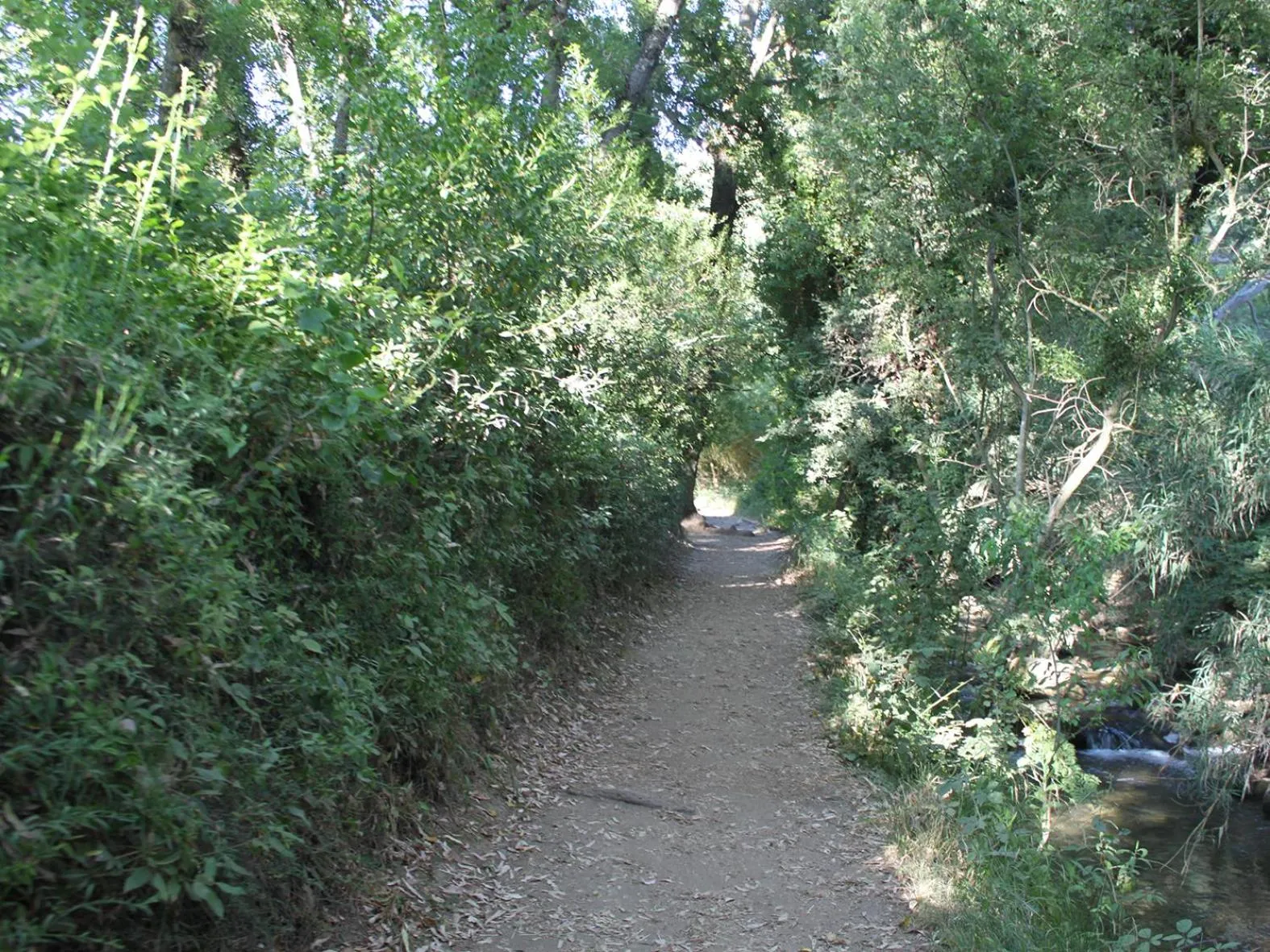 Natural landscape in Apartamentos Casa Gil
