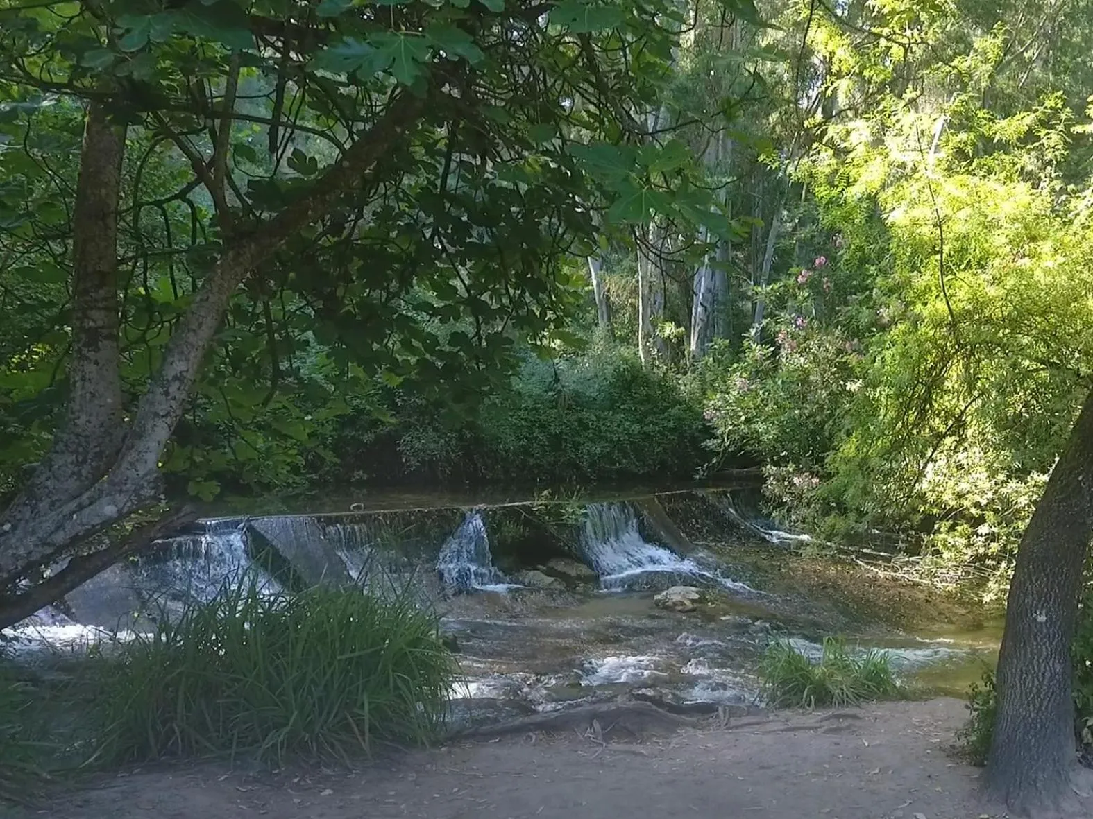 Natural landscape in Apartamentos Casa Gil