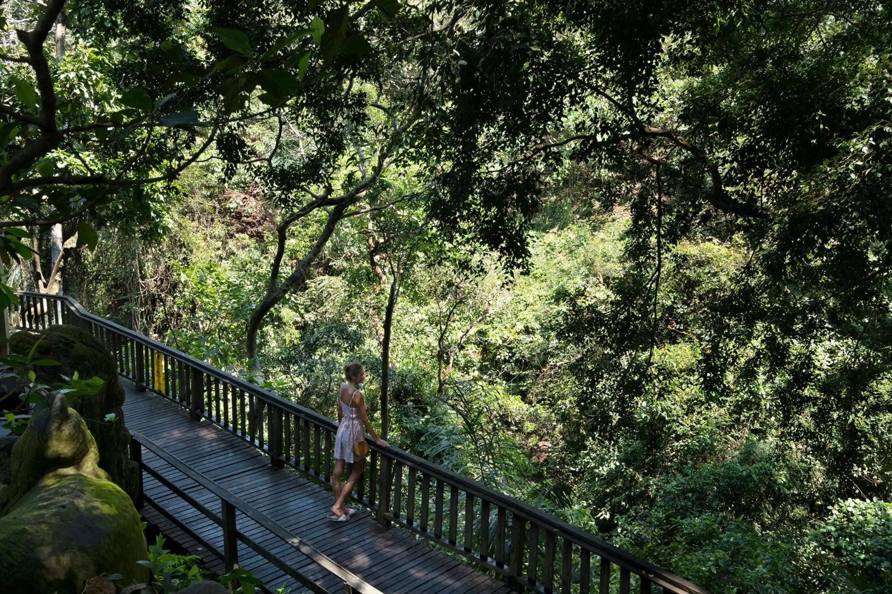 Other in Adiwana Monkey Forest