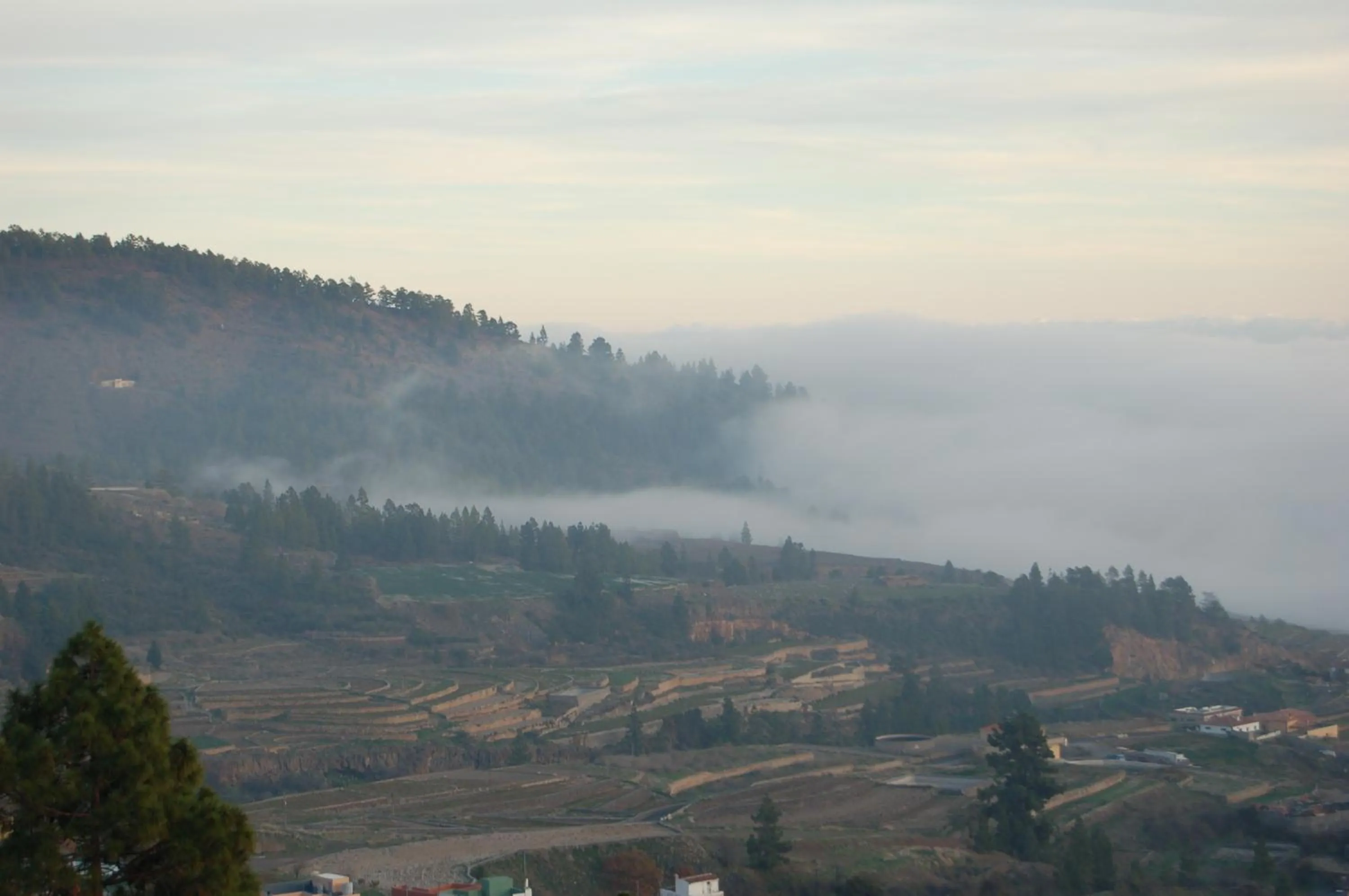 Natural landscape in Hotel El Sombrerito