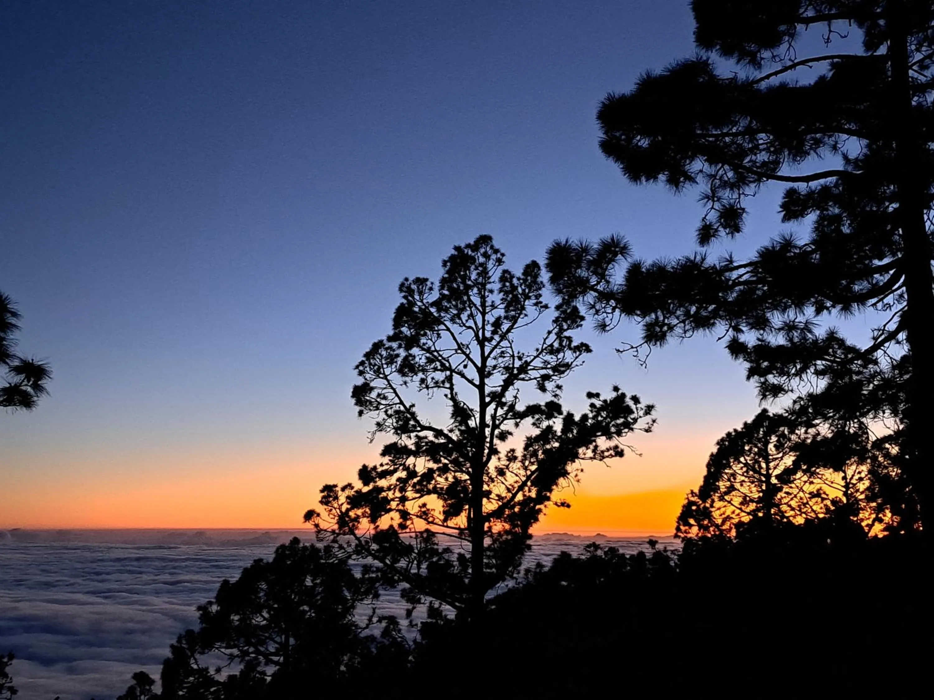 Natural landscape in Hotel El Sombrerito