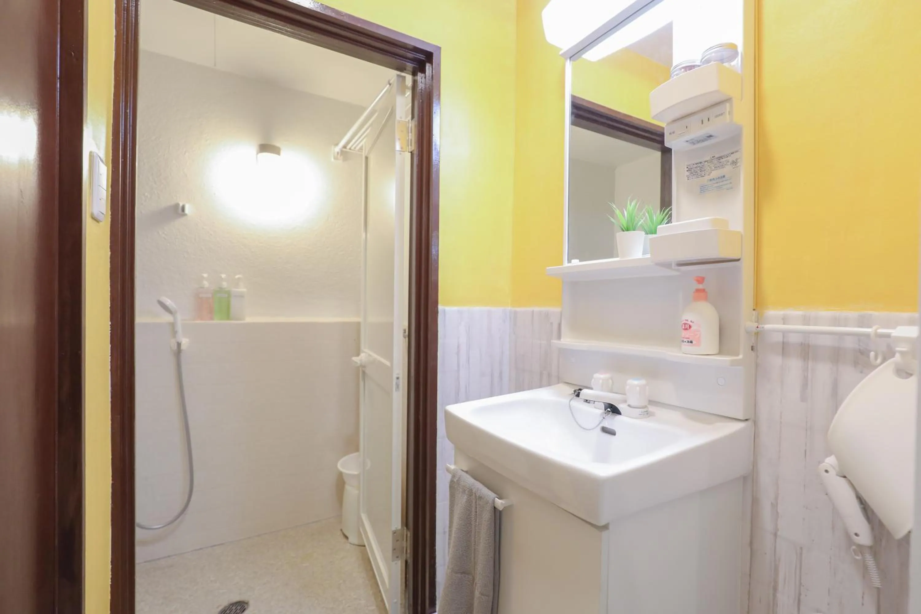 Shower in Hakata apartment