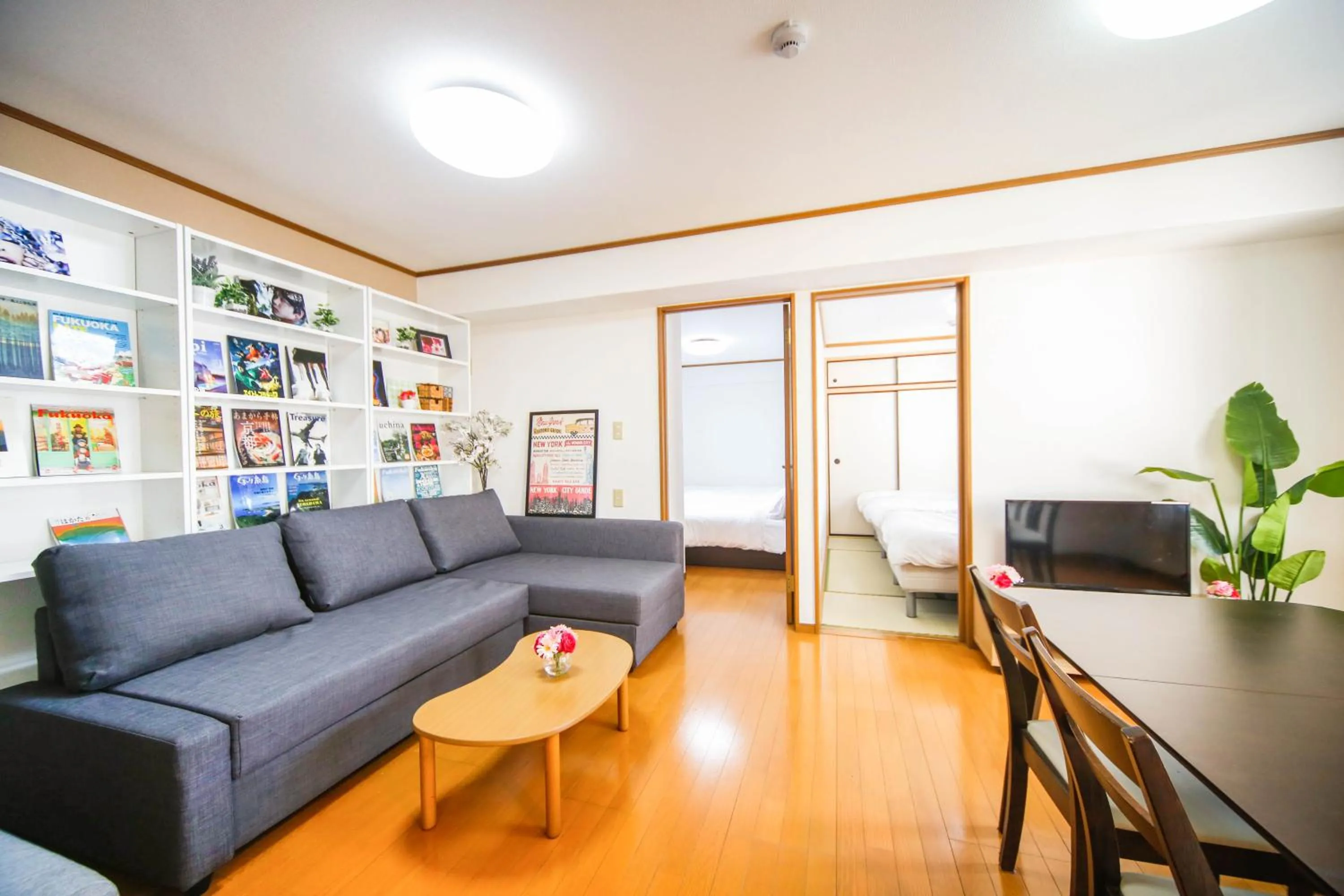 TV and multimedia in Hakata apartment