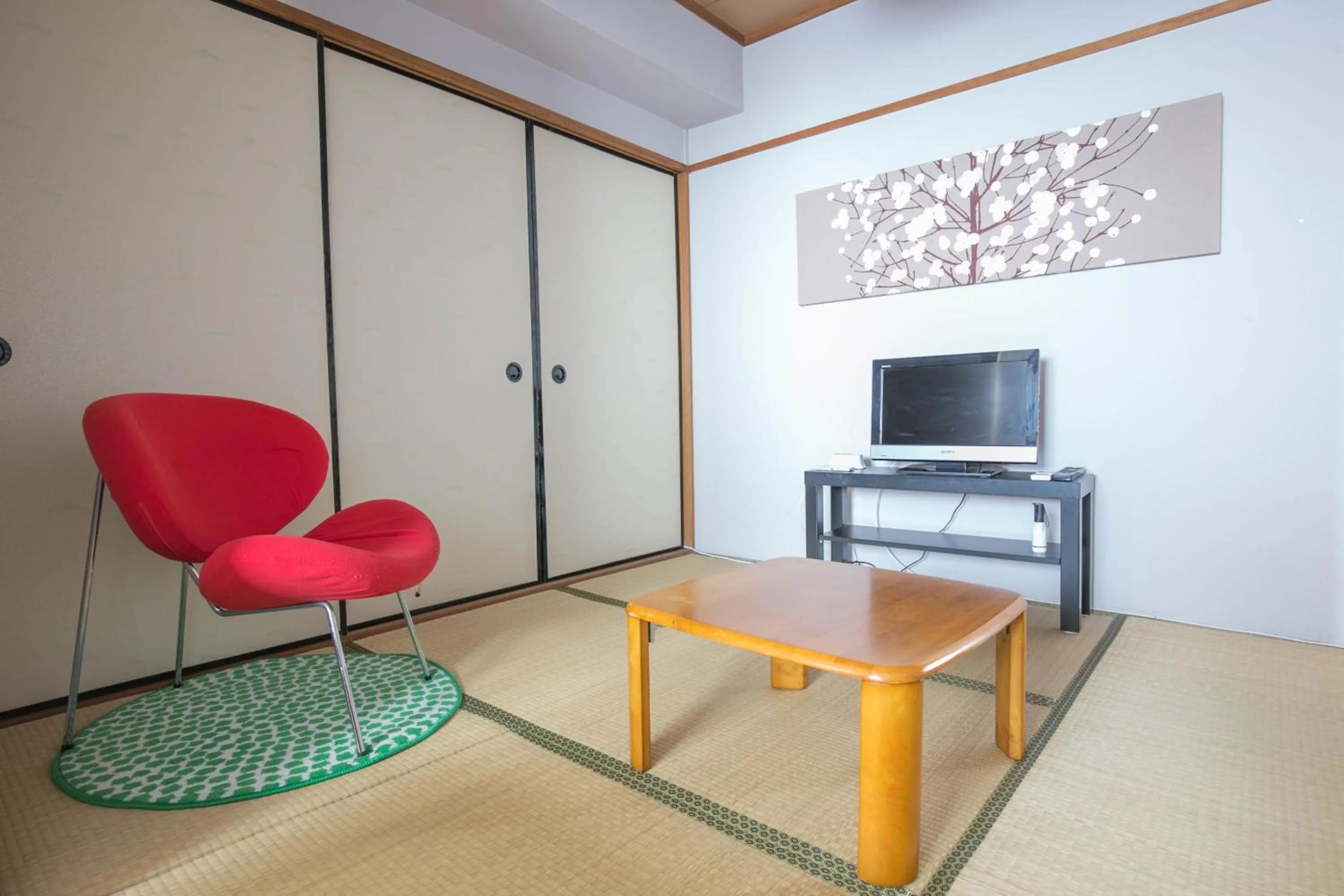 TV and multimedia in Hakata apartment
