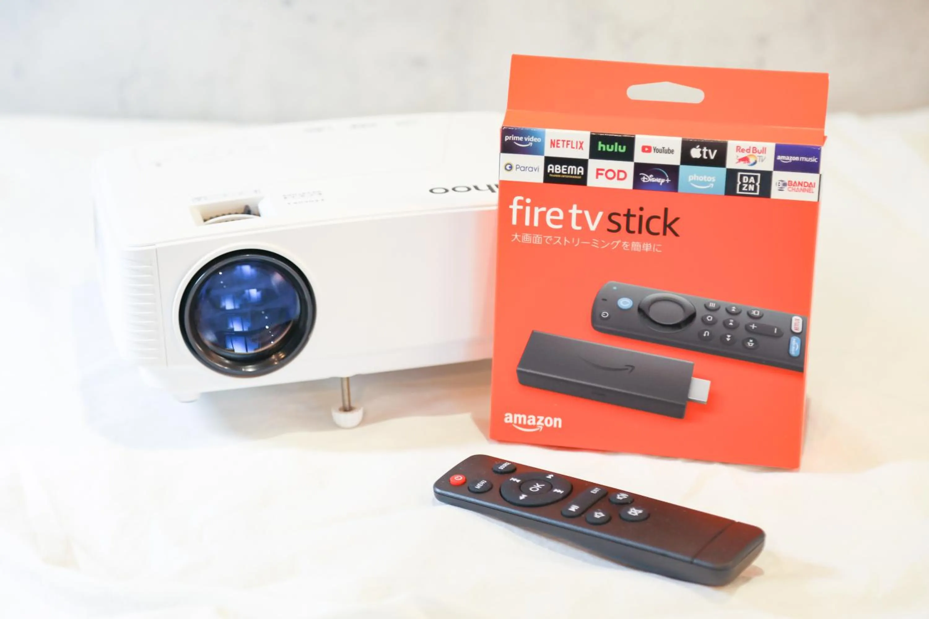 TV and multimedia in Hakata apartment