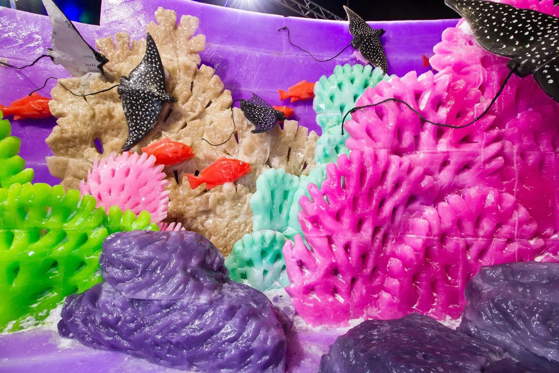 Entertainment in Moody Gardens Hotel Spa and Convention Center