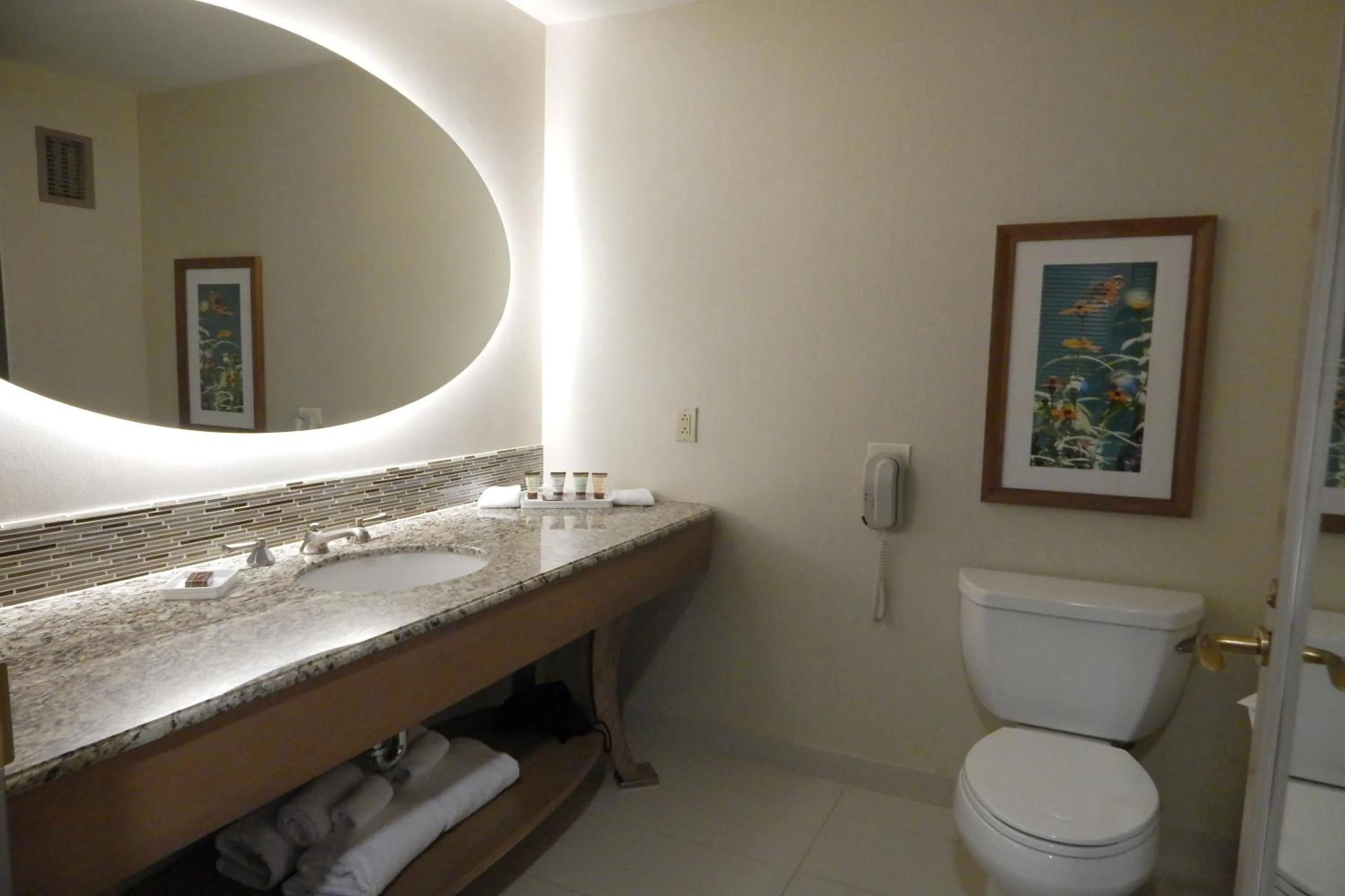 Toilet in Moody Gardens Hotel Spa and Convention Center