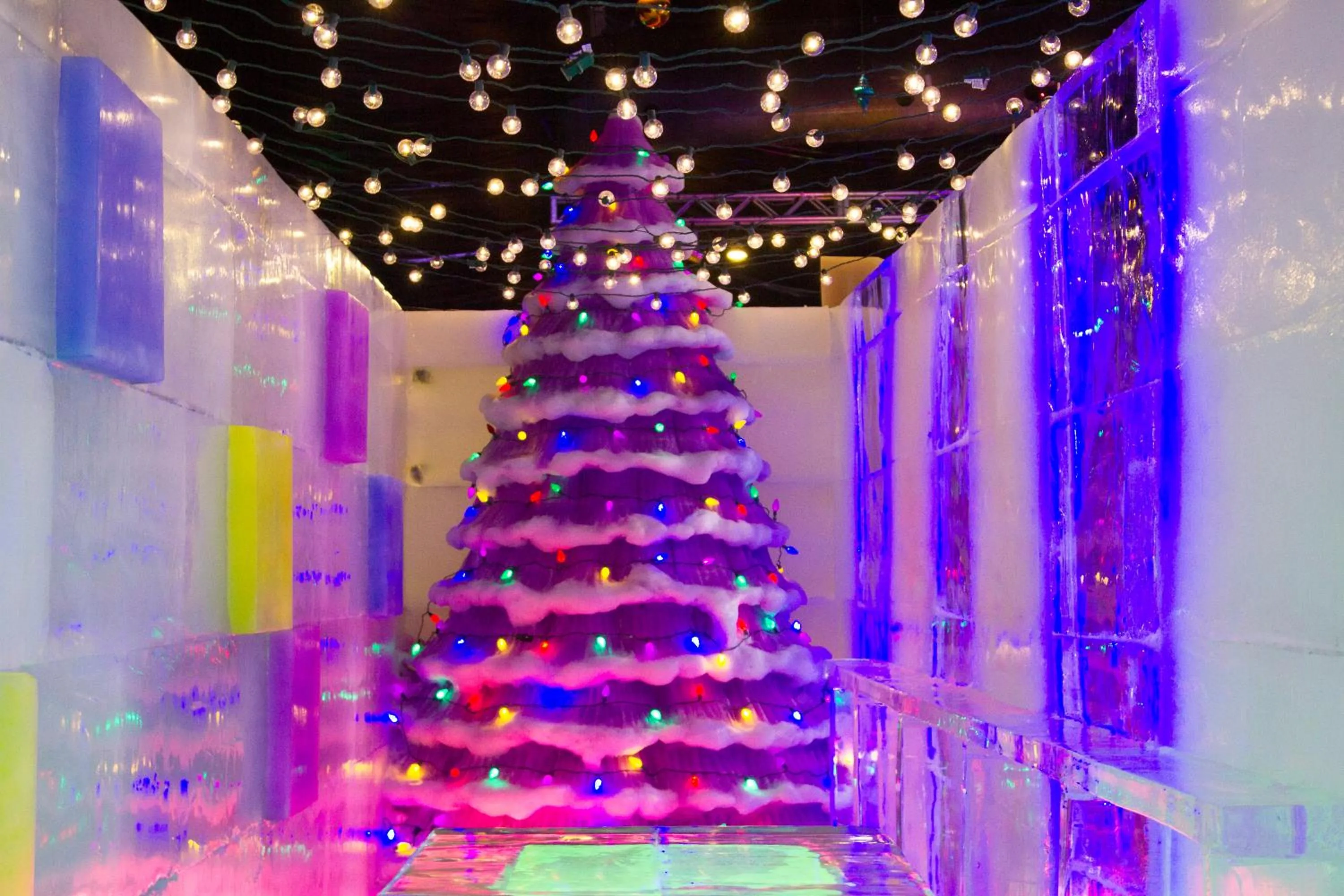 Entertainment in Moody Gardens Hotel Spa and Convention Center