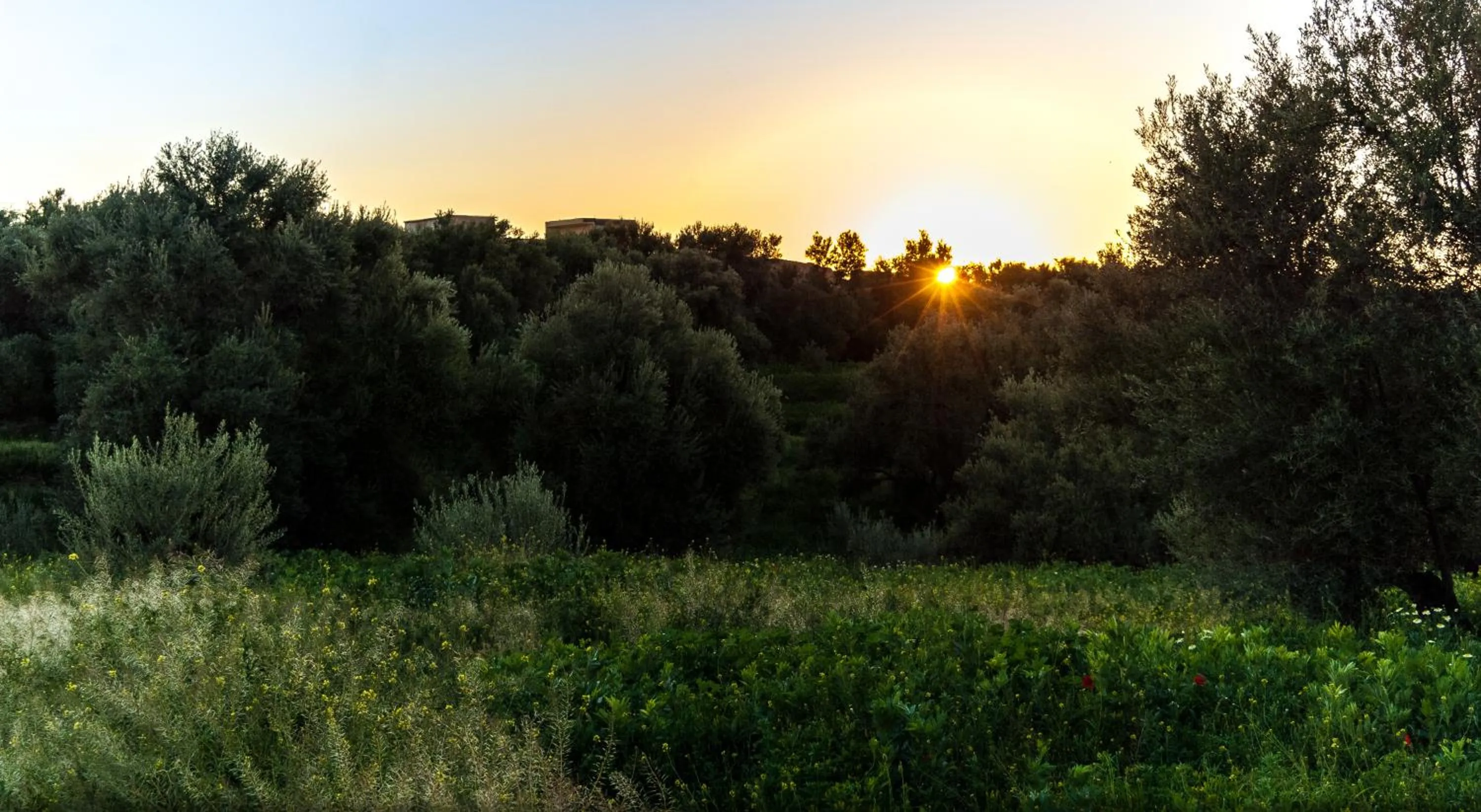 Off site in Riad Sougtani