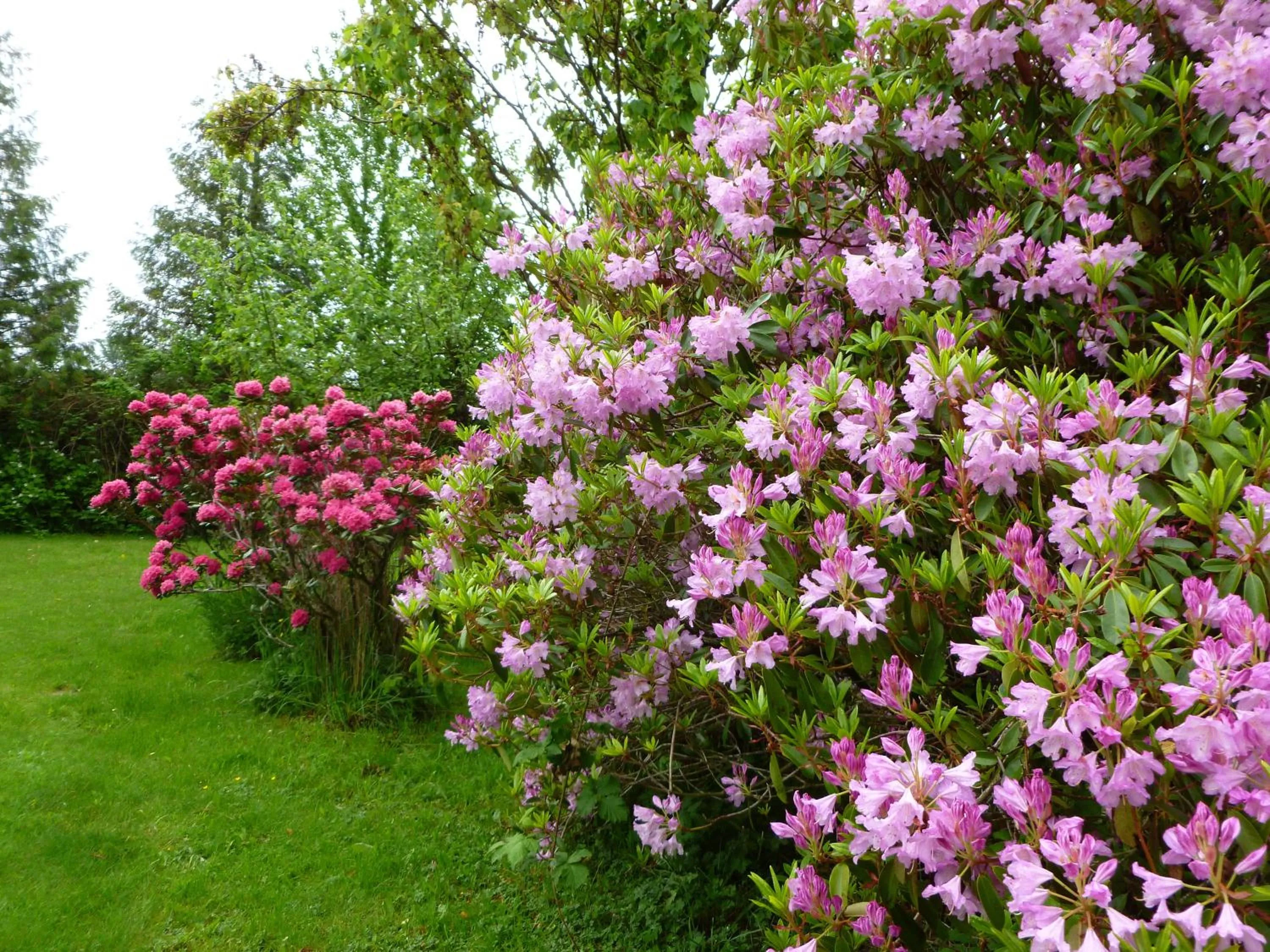Harrison Hammond House Farmstay