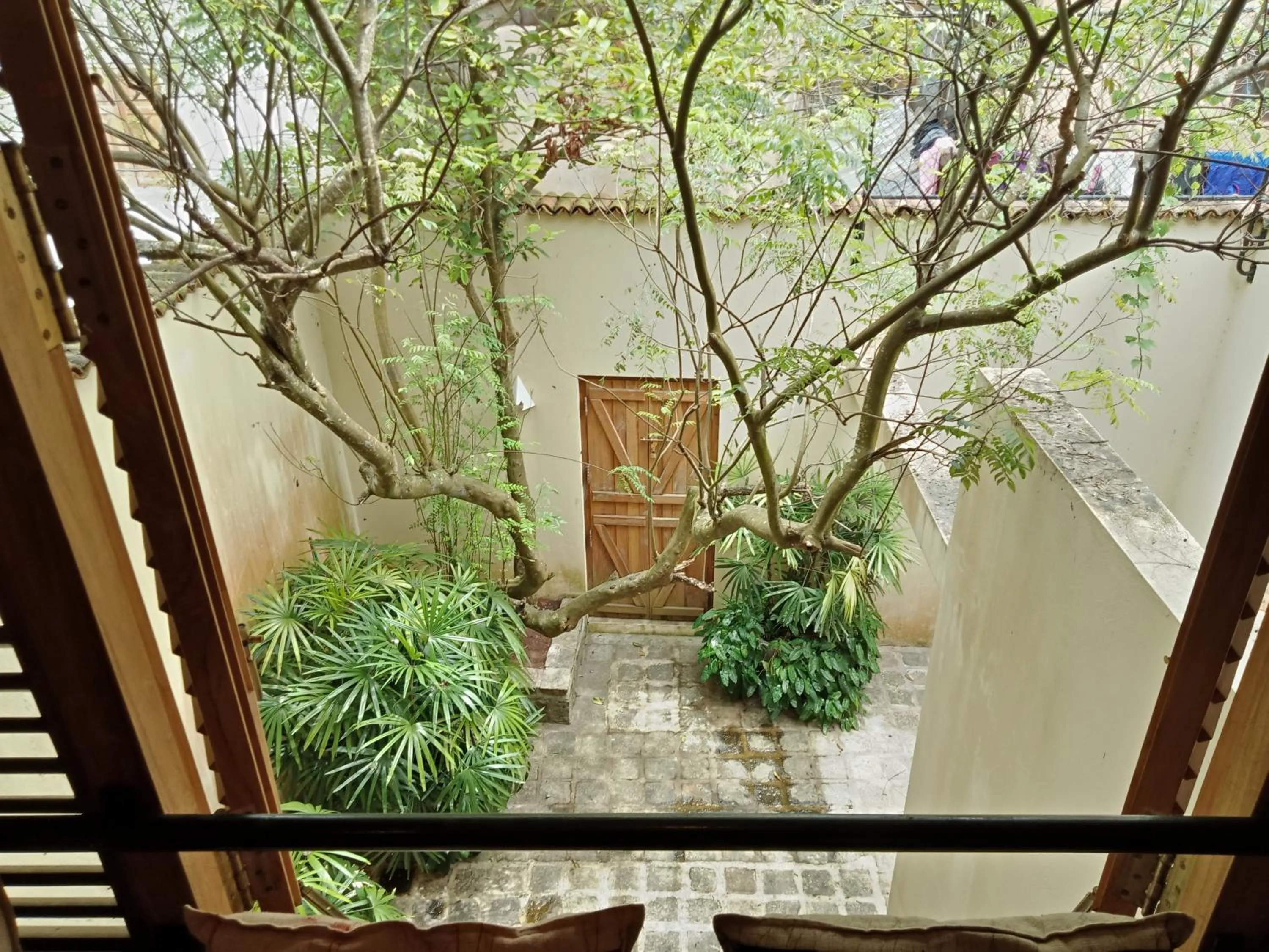 Garden view in 50 CHURCH STREET - GALLE FORT