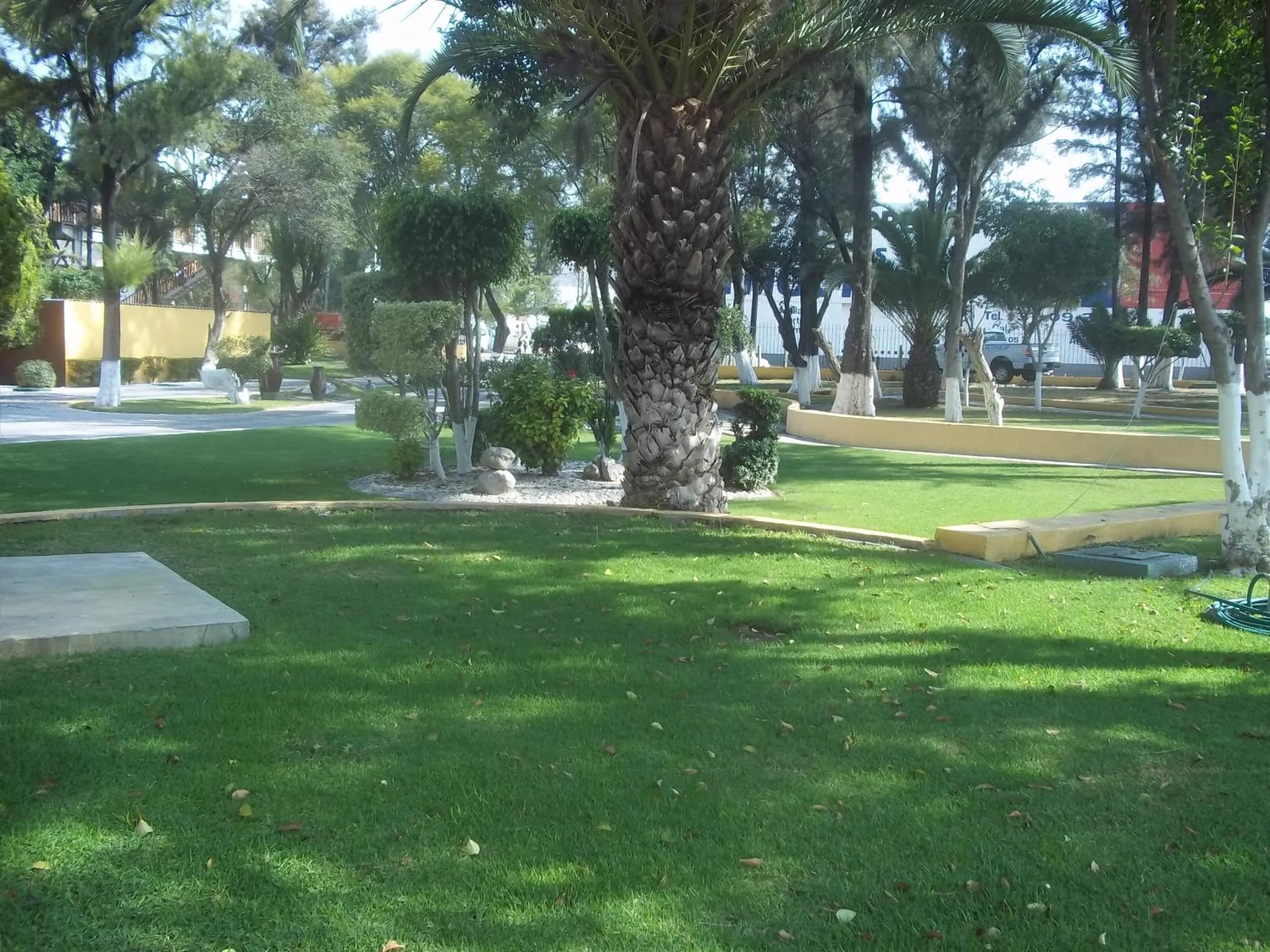 Garden in Casa Cantarranas