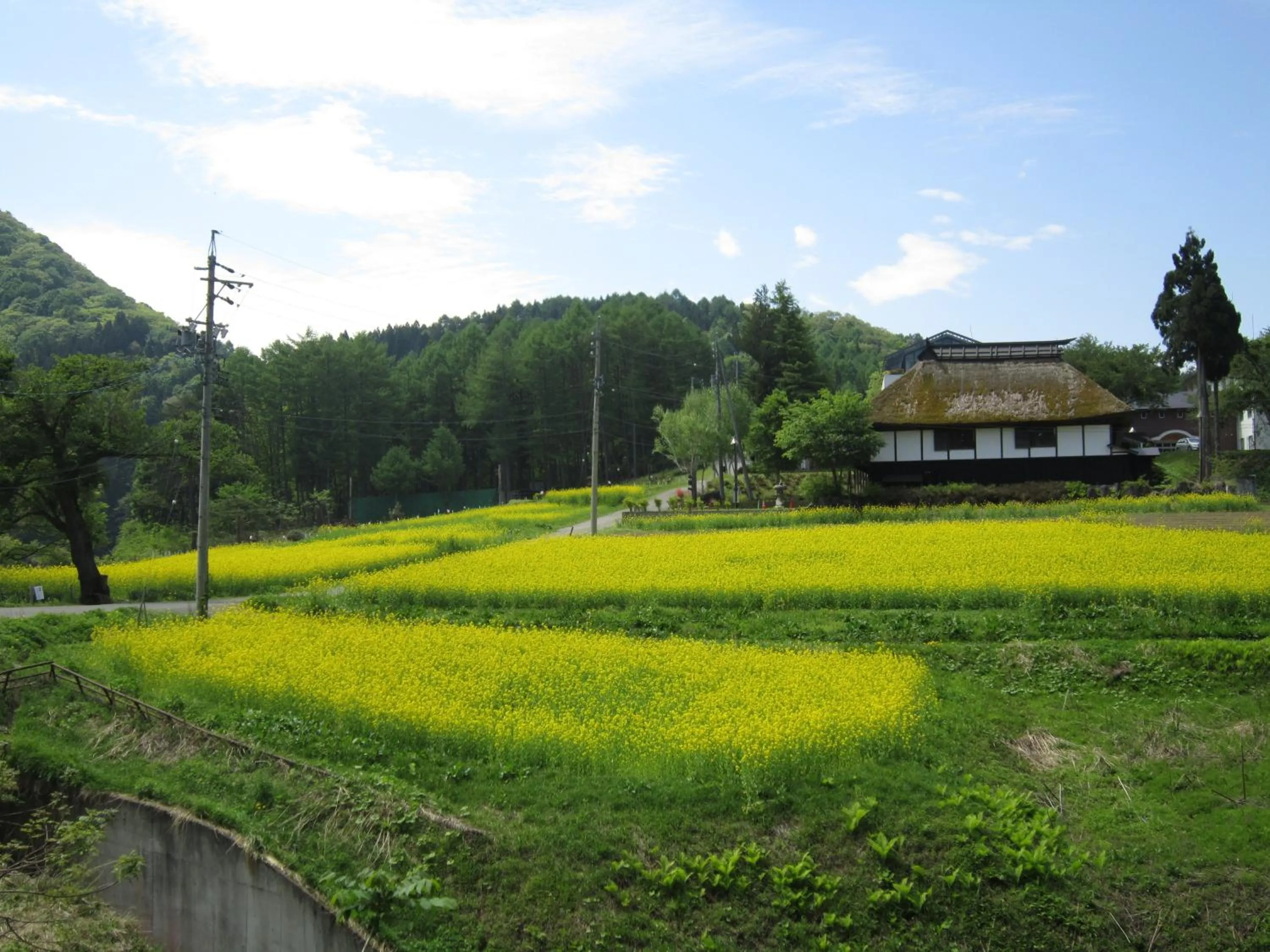 Property building in Nozawa Onsen Utopia