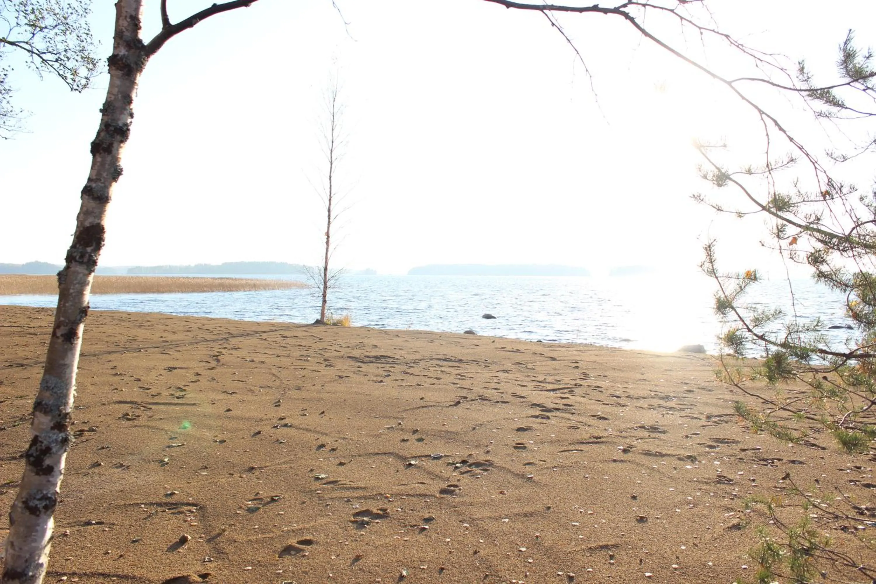 Natural landscape in B&B Taipaleenniemi