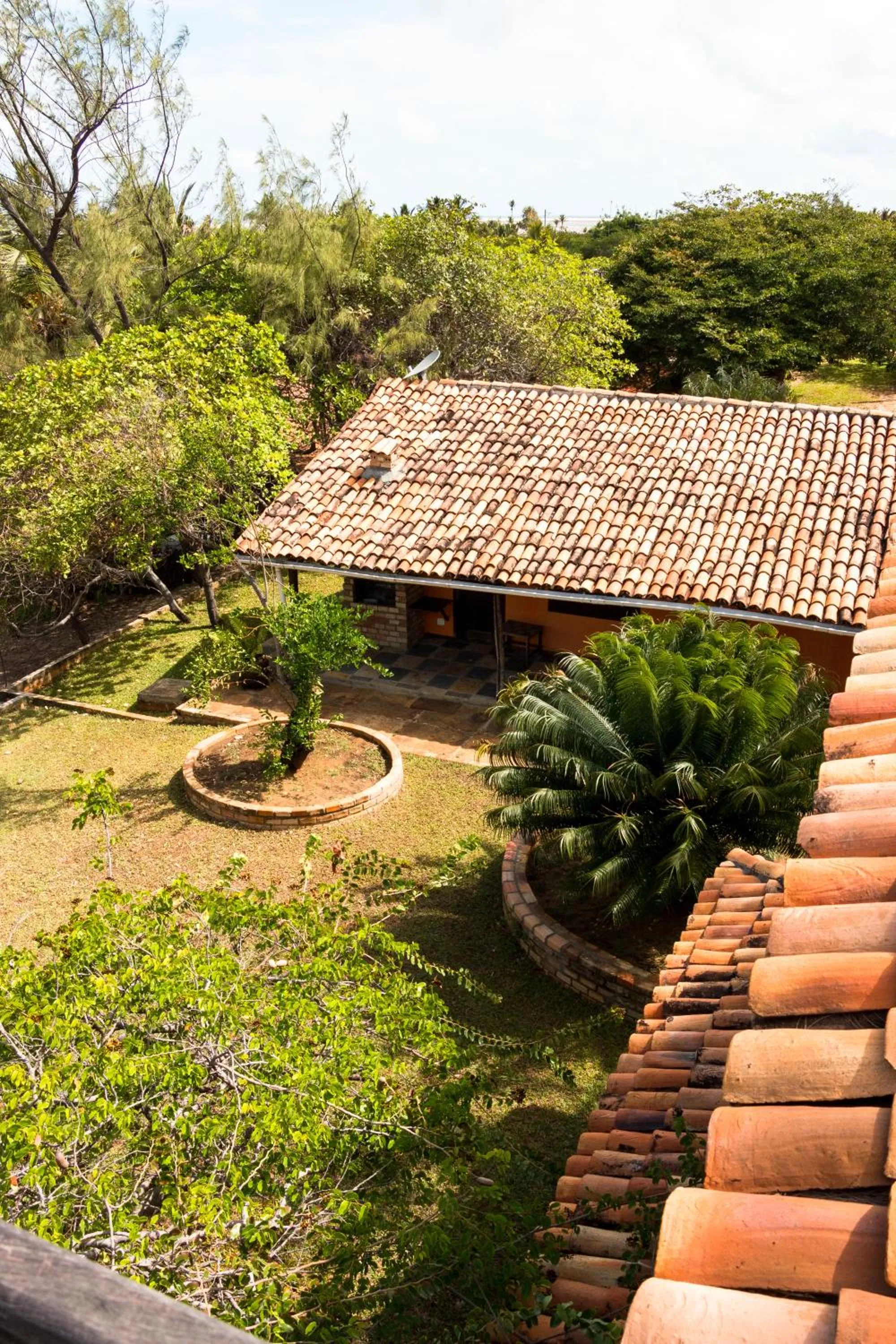 Garden in Casa Manoel Facão