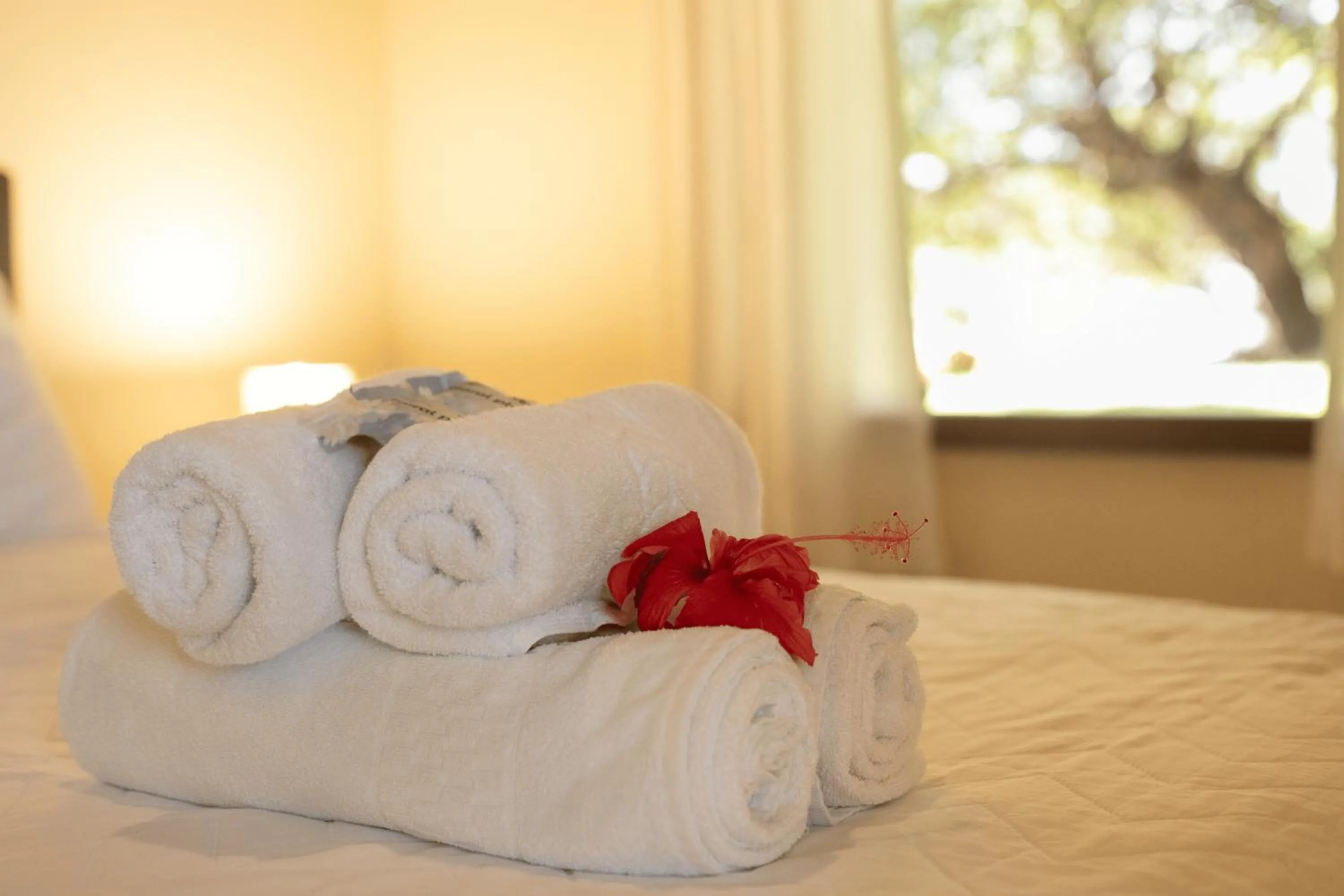 Bed in Casa Manoel Facão